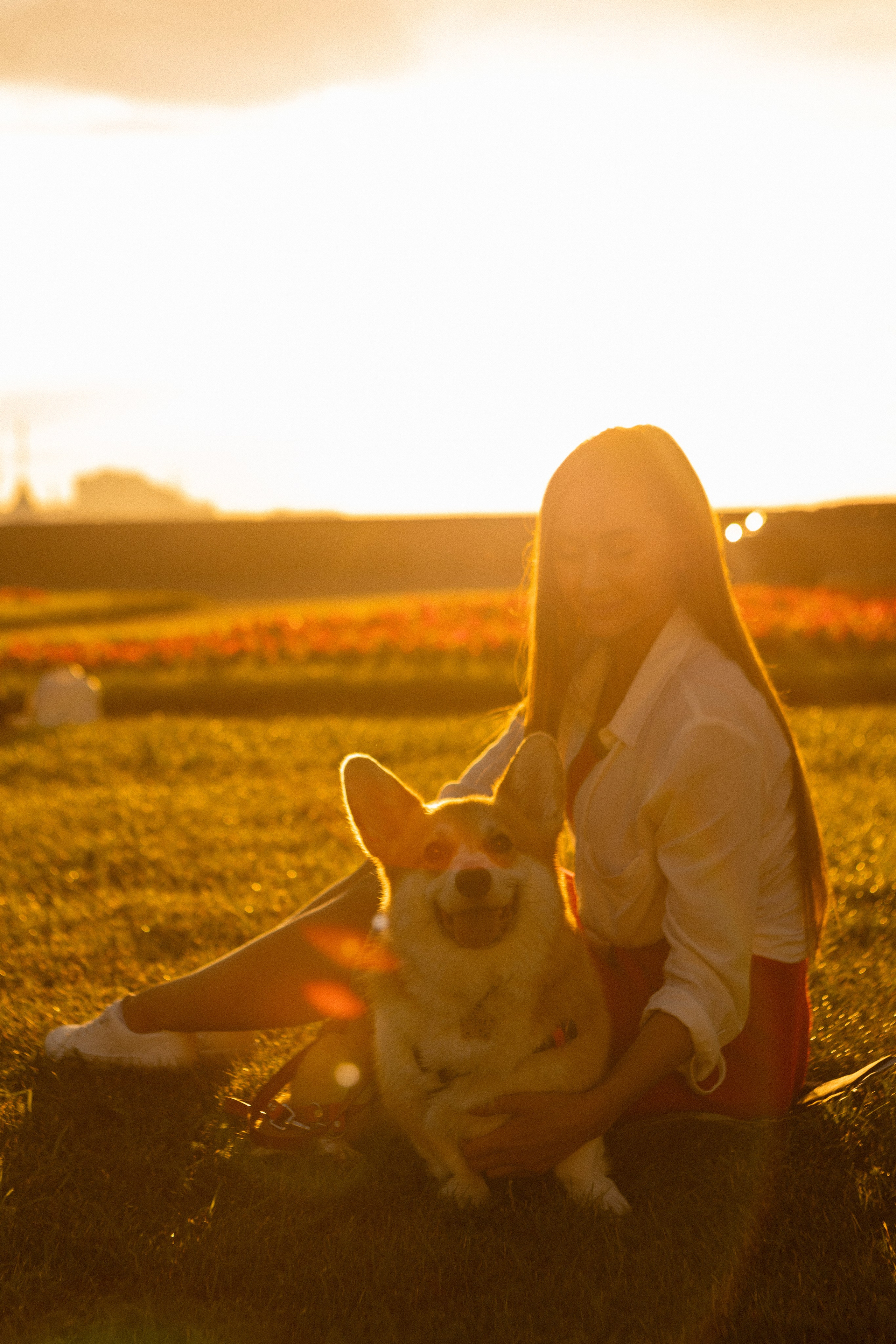 Настя и Стёпа. Фотограф-анималист в Санкт-Петербурге Алина Яхонт