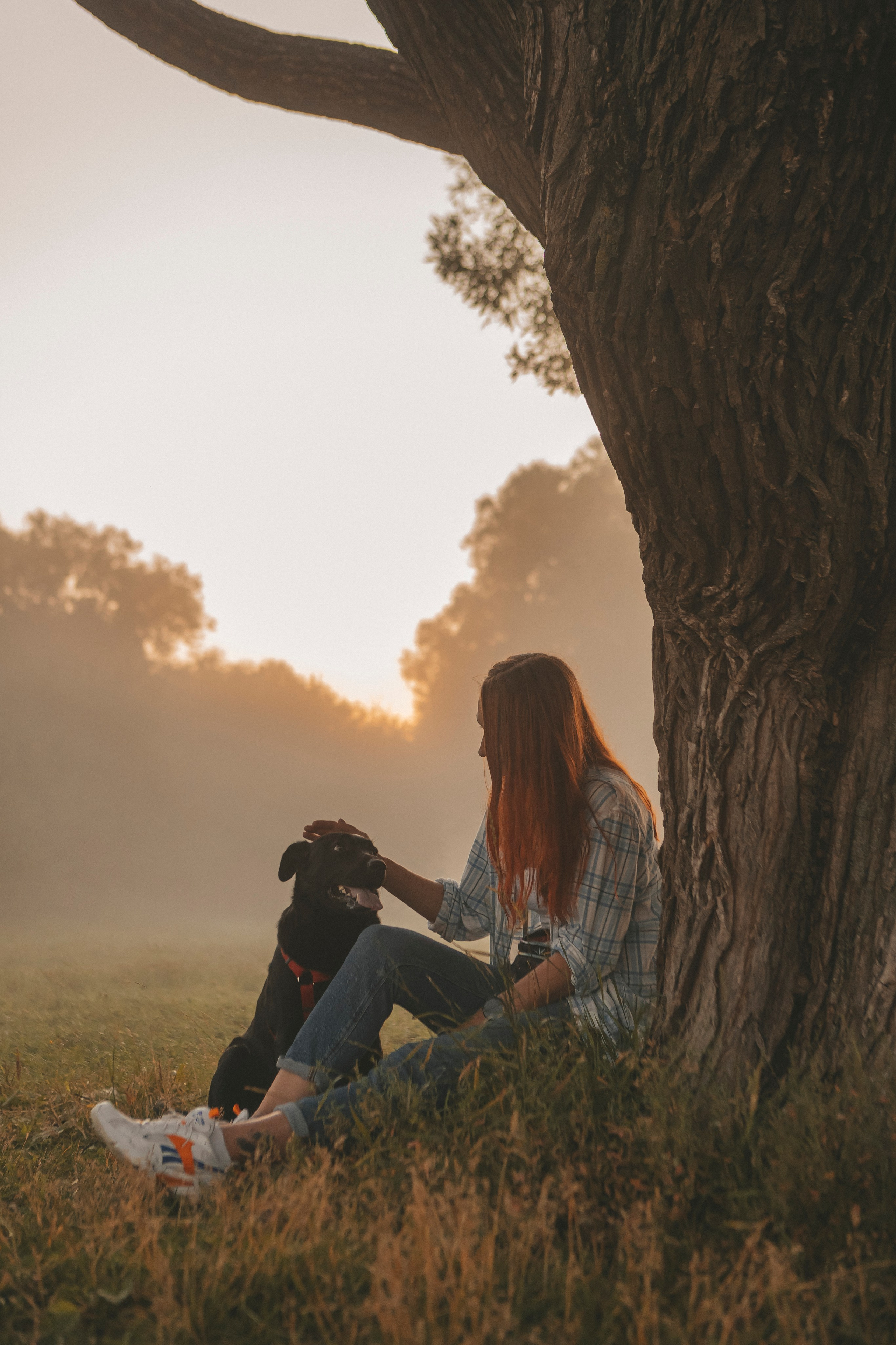Саша и Дана. Фотограф-анималист в Санкт-Петербурге Алина Яхонт