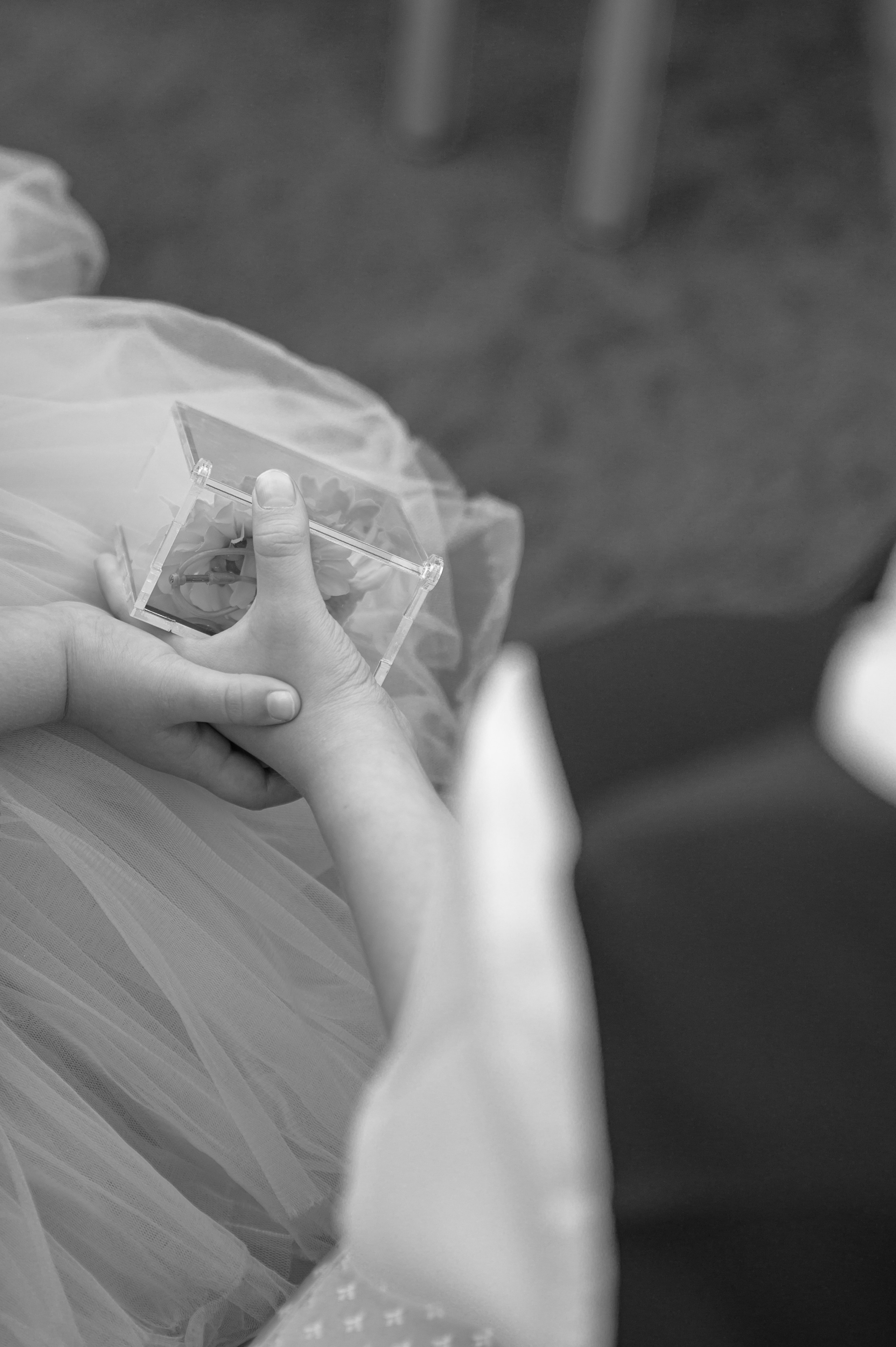 Галерея. Свадебный фотограф Евгения Наумовец