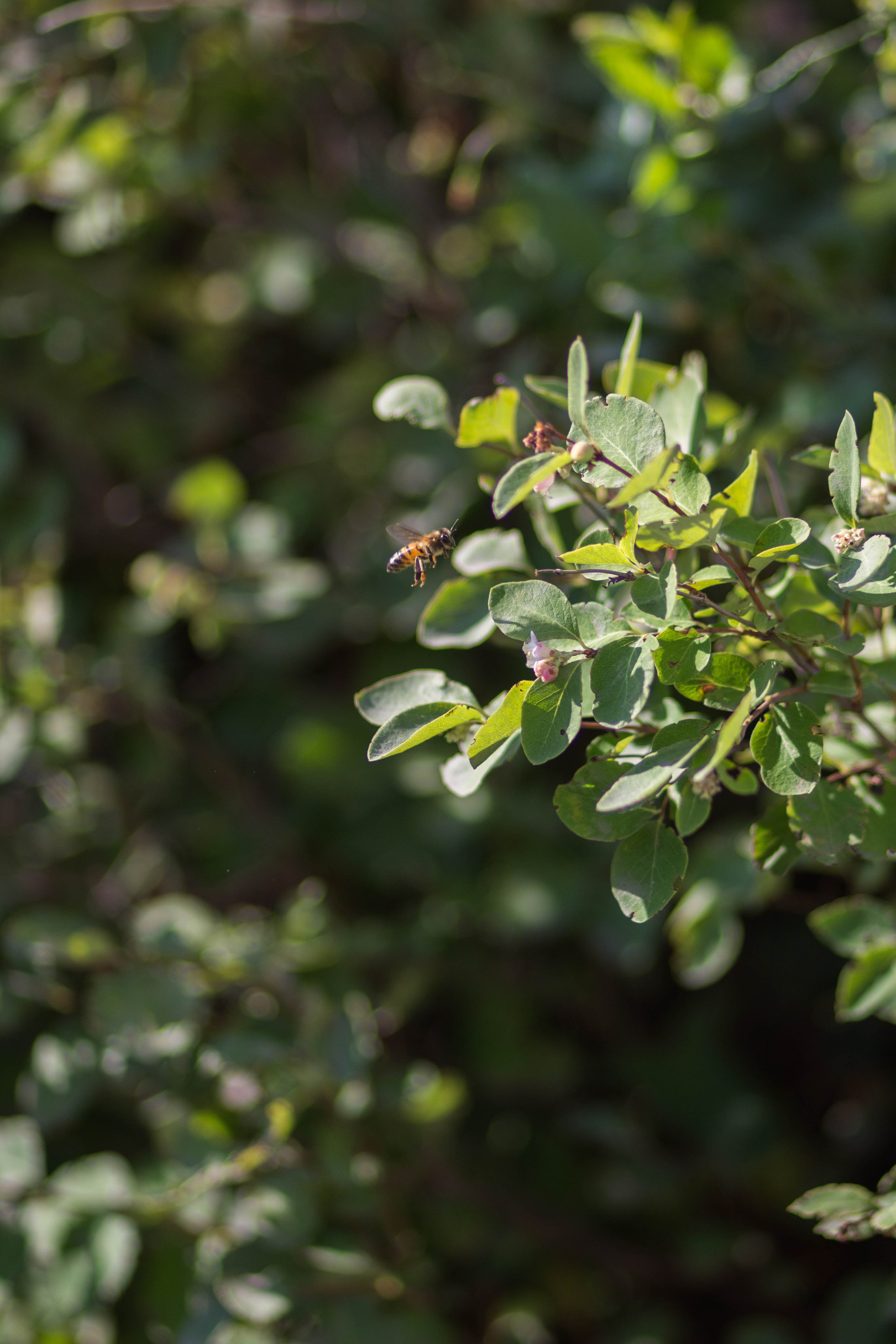 Первый раз — в первый класс. Food и предметный фотограф в Барнауле Ирина Супряженко