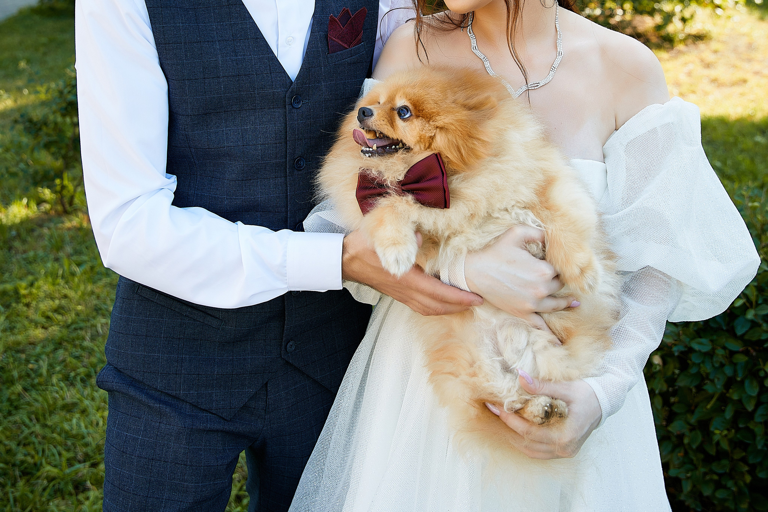 Анастасия&Александр. Татьяна Бабаева — Фотограф