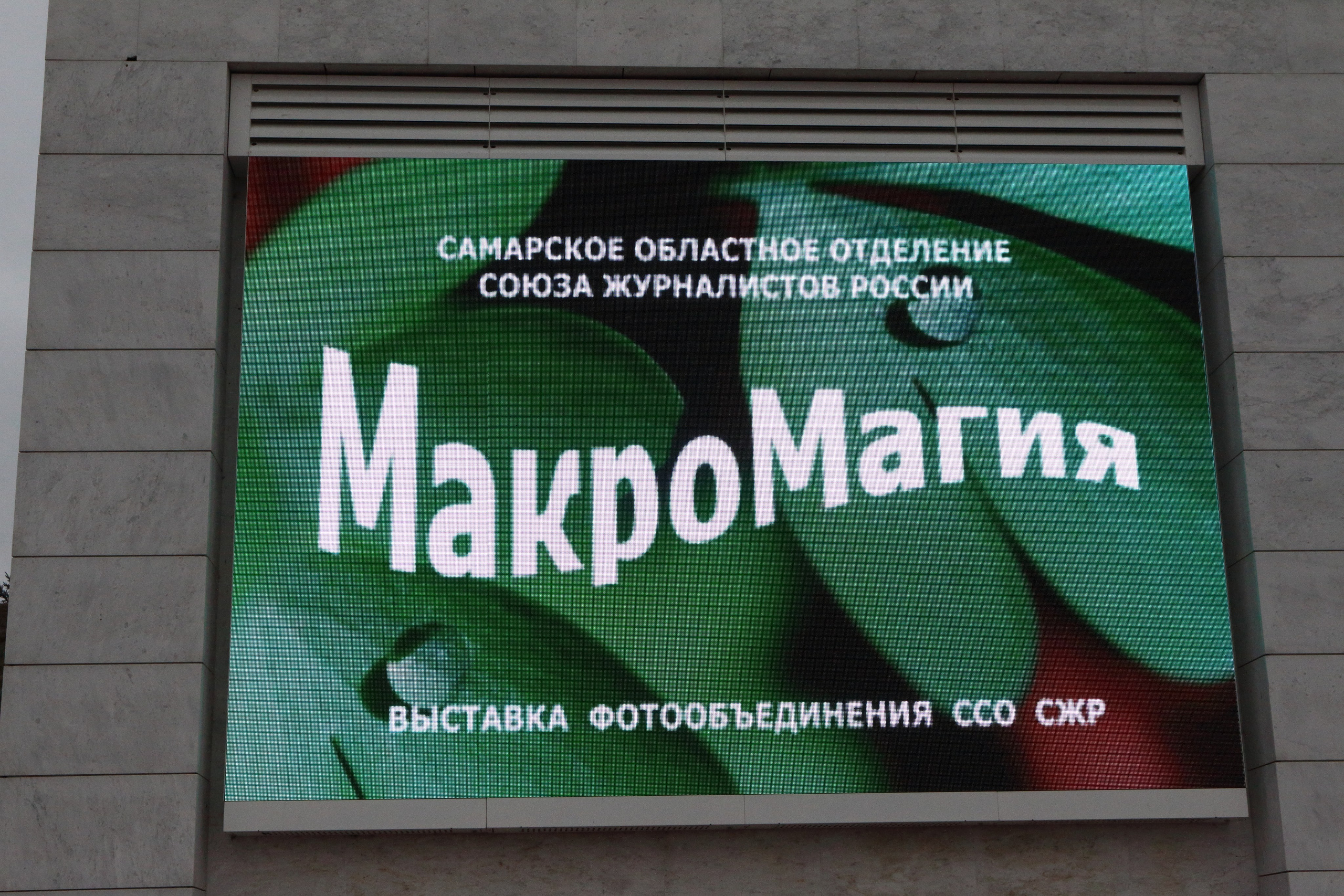 03.10.2021 Выставка «МакроМагия». Фотообъединение Самарского областного отделения Союза журналистов России