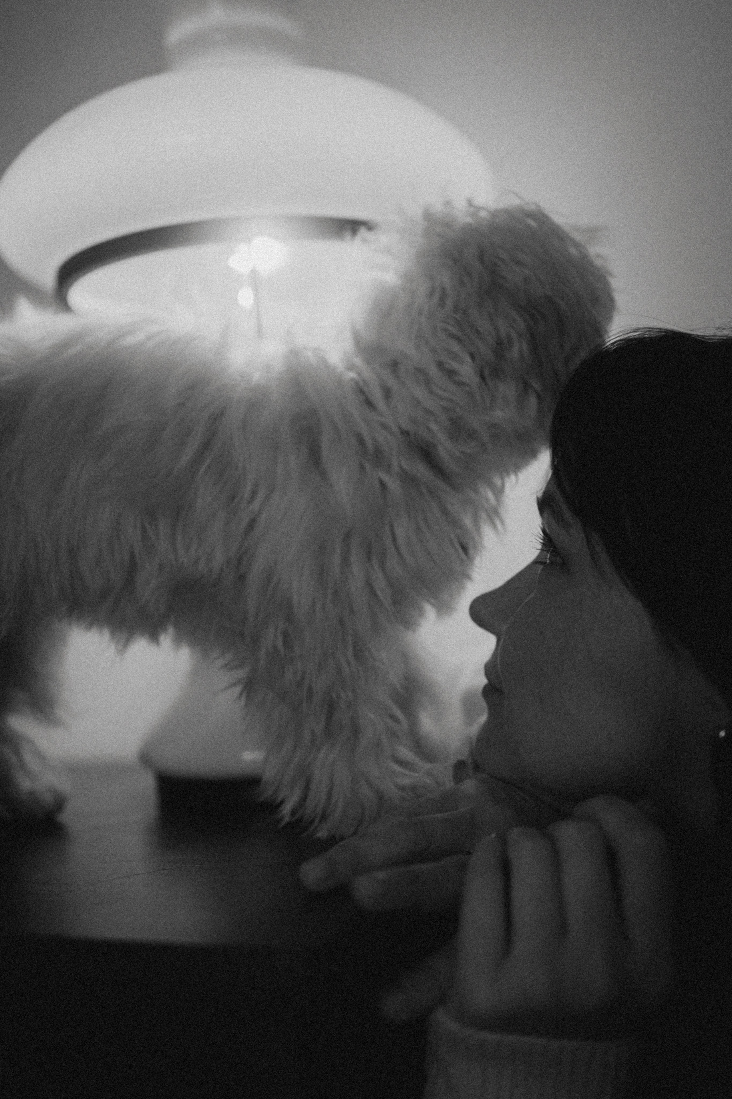 Оля и Бри. Фотораф — анималист Мария Шистка