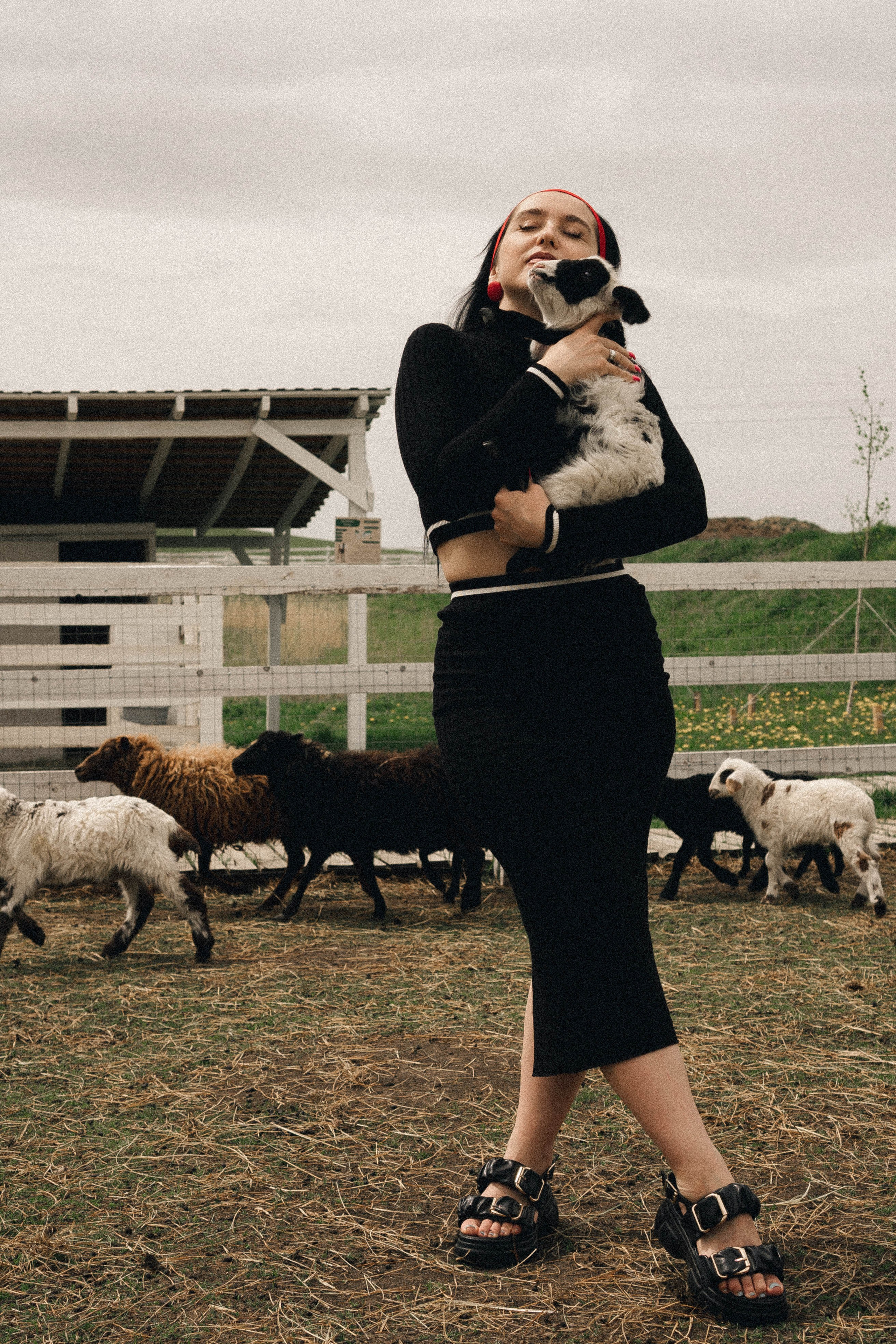 Ферма Альпак. Профессиональный фотограф, Санкт-Петербург — Виктория Богомолова