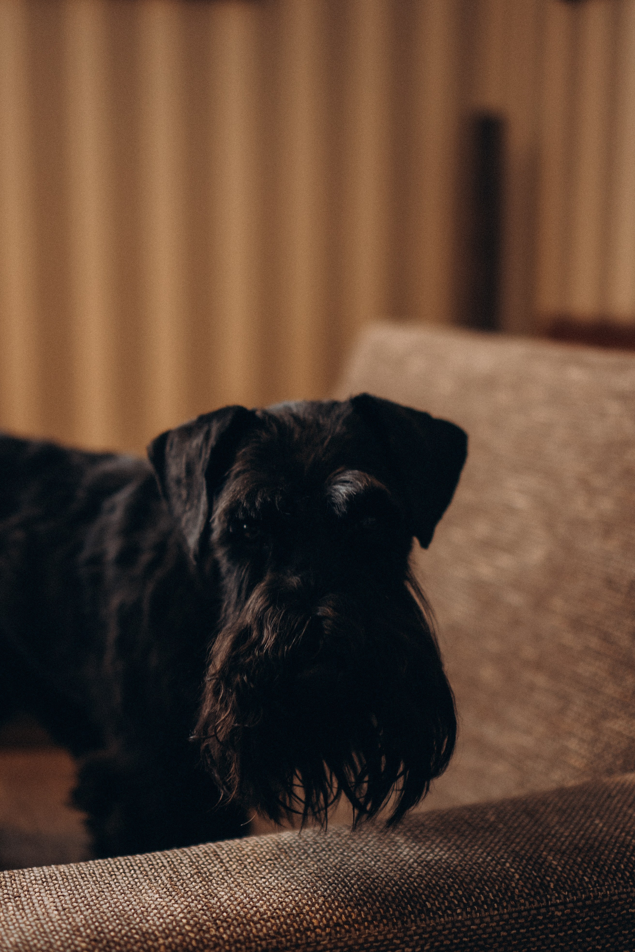 ДЕНЬ РОЖДЕНИЯ. Профессиональный фотограф, Санкт-Петербург — Виктория Богомолова