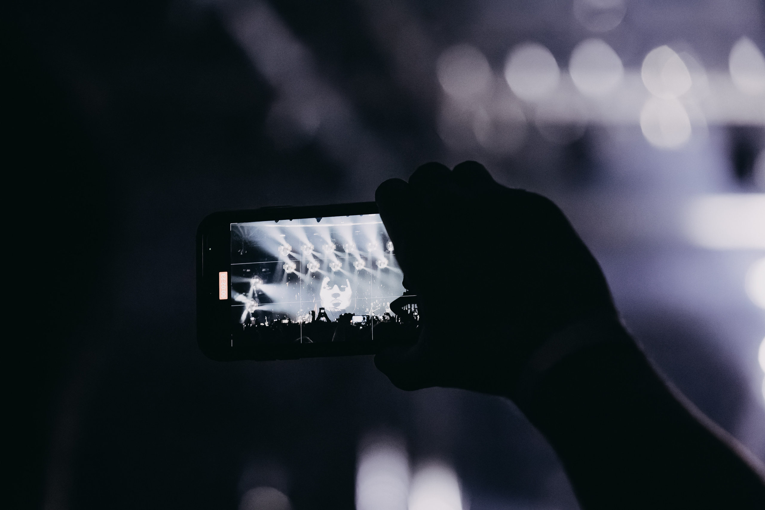 Группа «КИНО» | дворец спорта