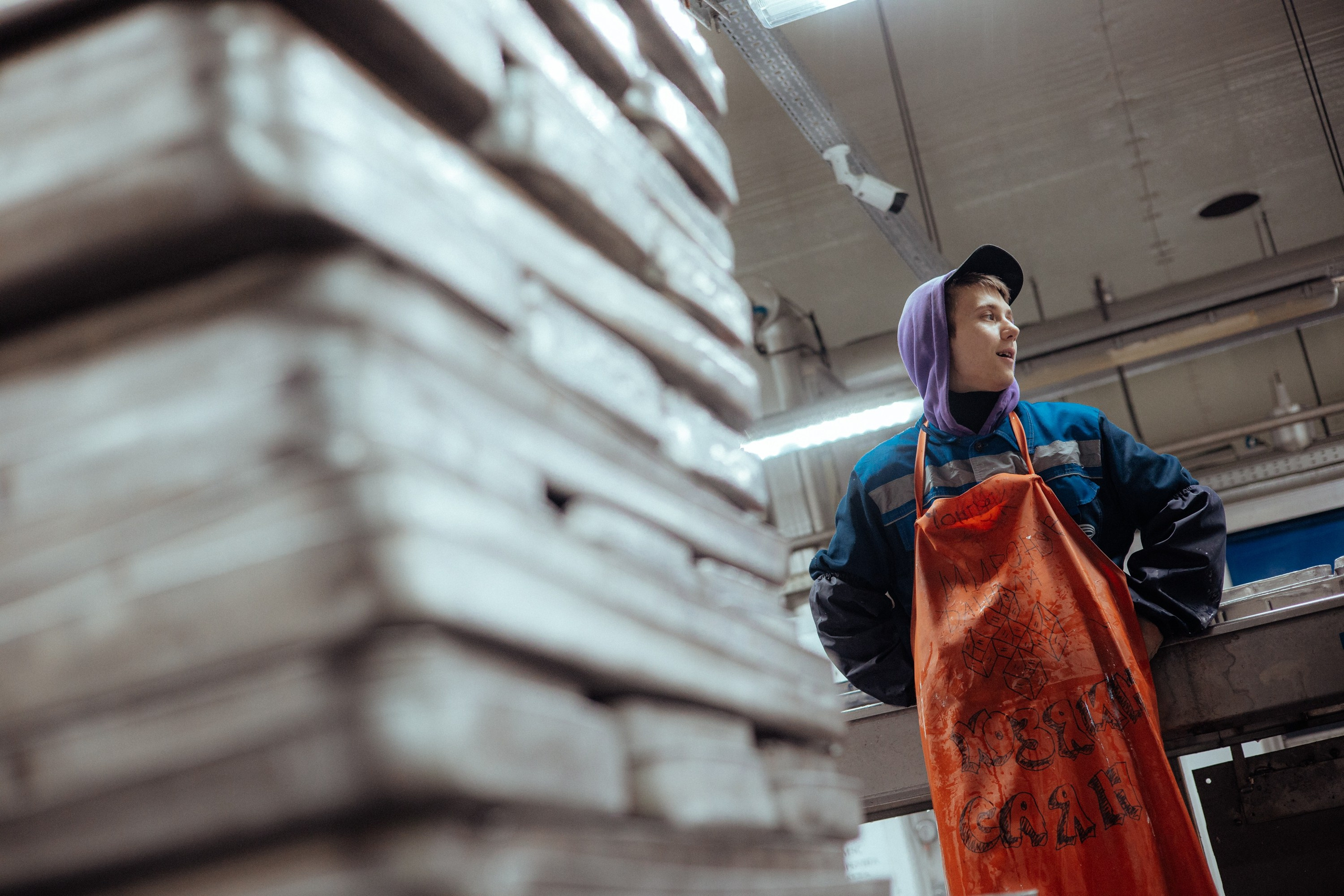 Ооо «лойд-фиш» | камчатка-2025