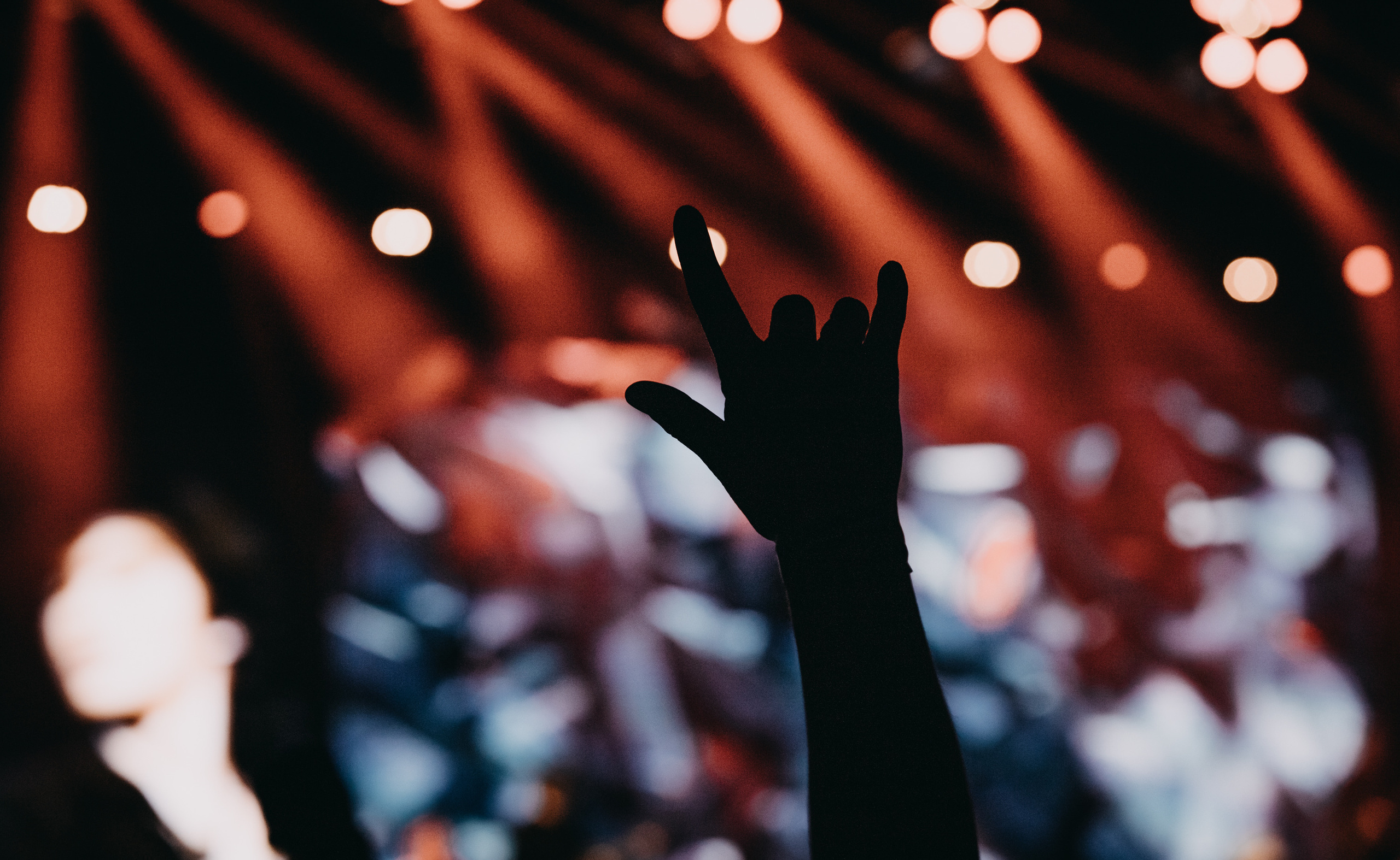 Группа «КИНО» | дворец спорта