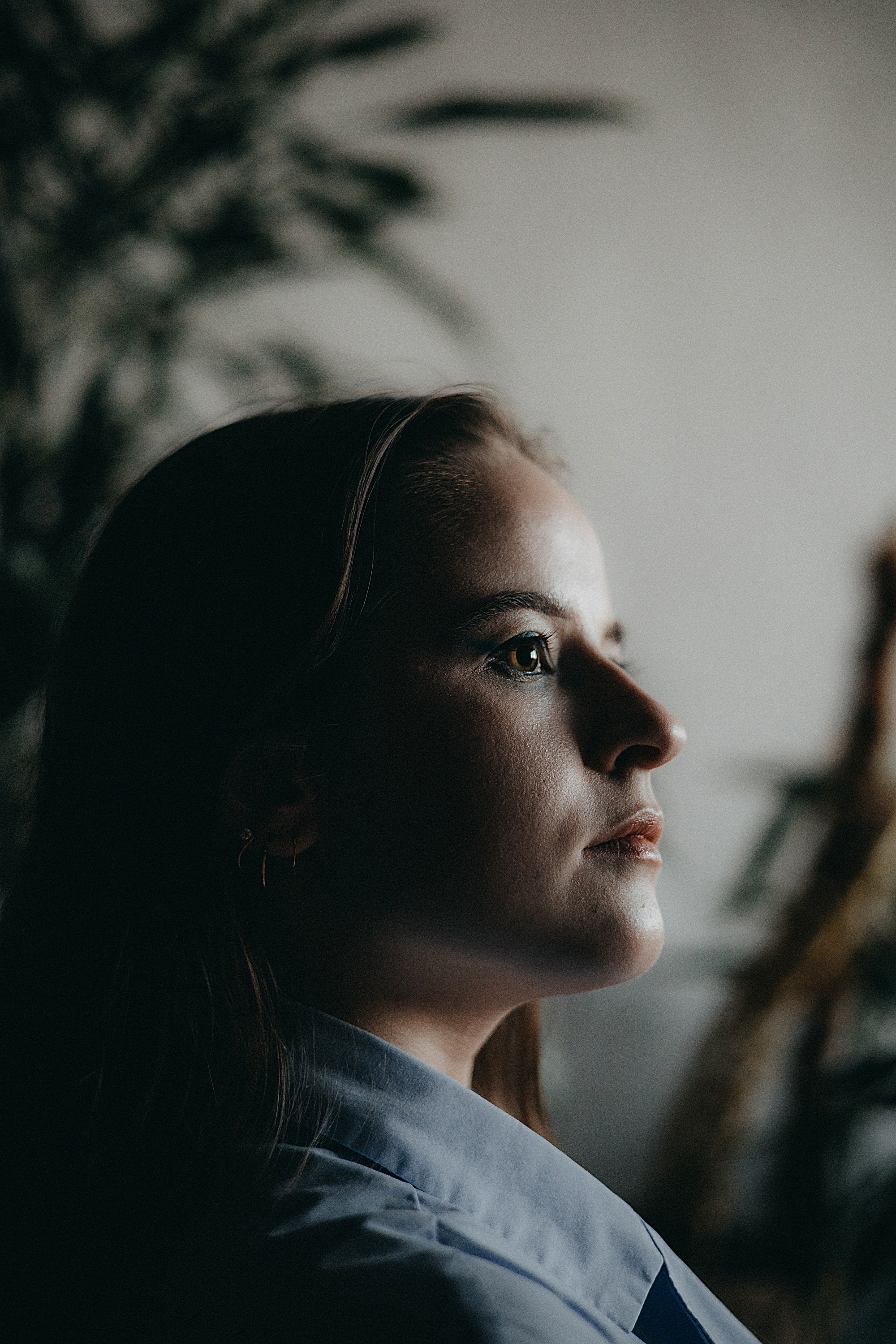 Смо «сияние» | DOM