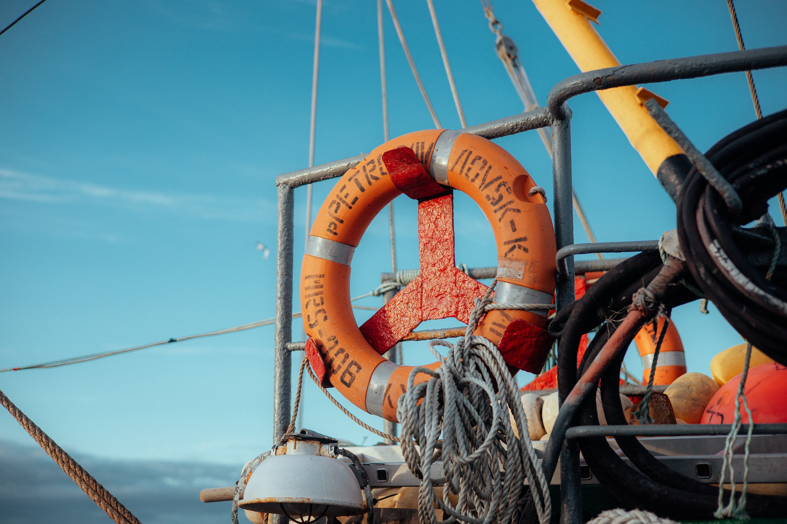 Ооо «лойд-фиш» | камчатка-2025