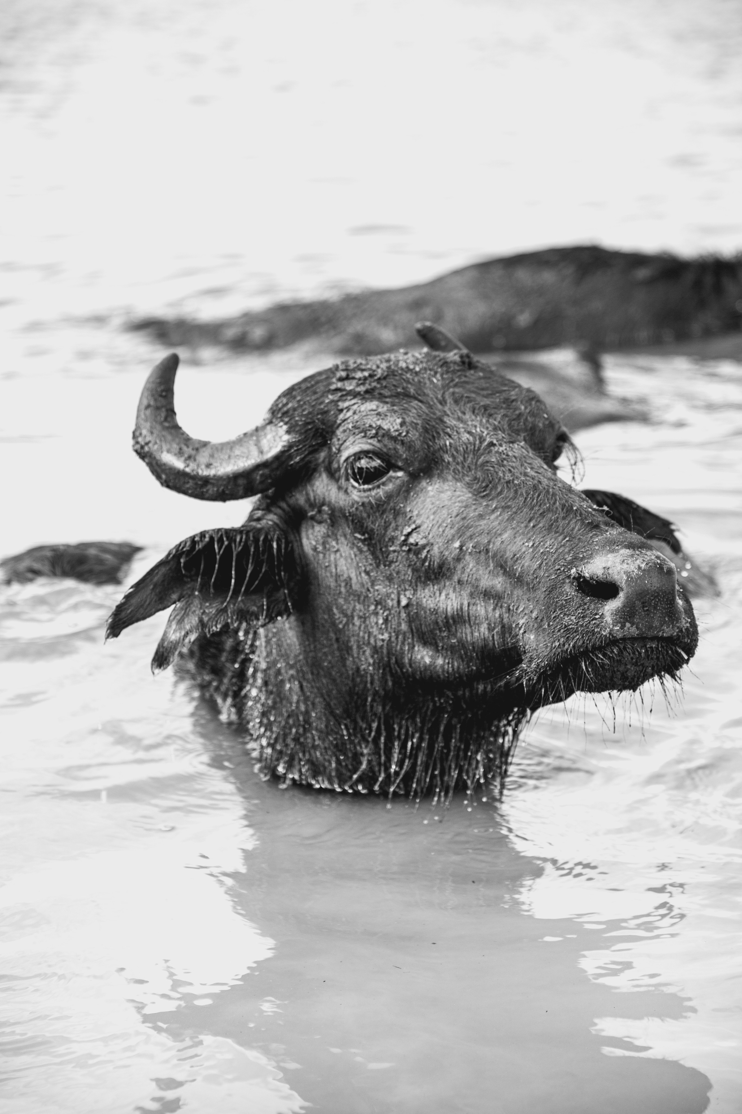 Элла Ферма. Юлия Космо — фуд-фотограф, предметный стилист, Москва