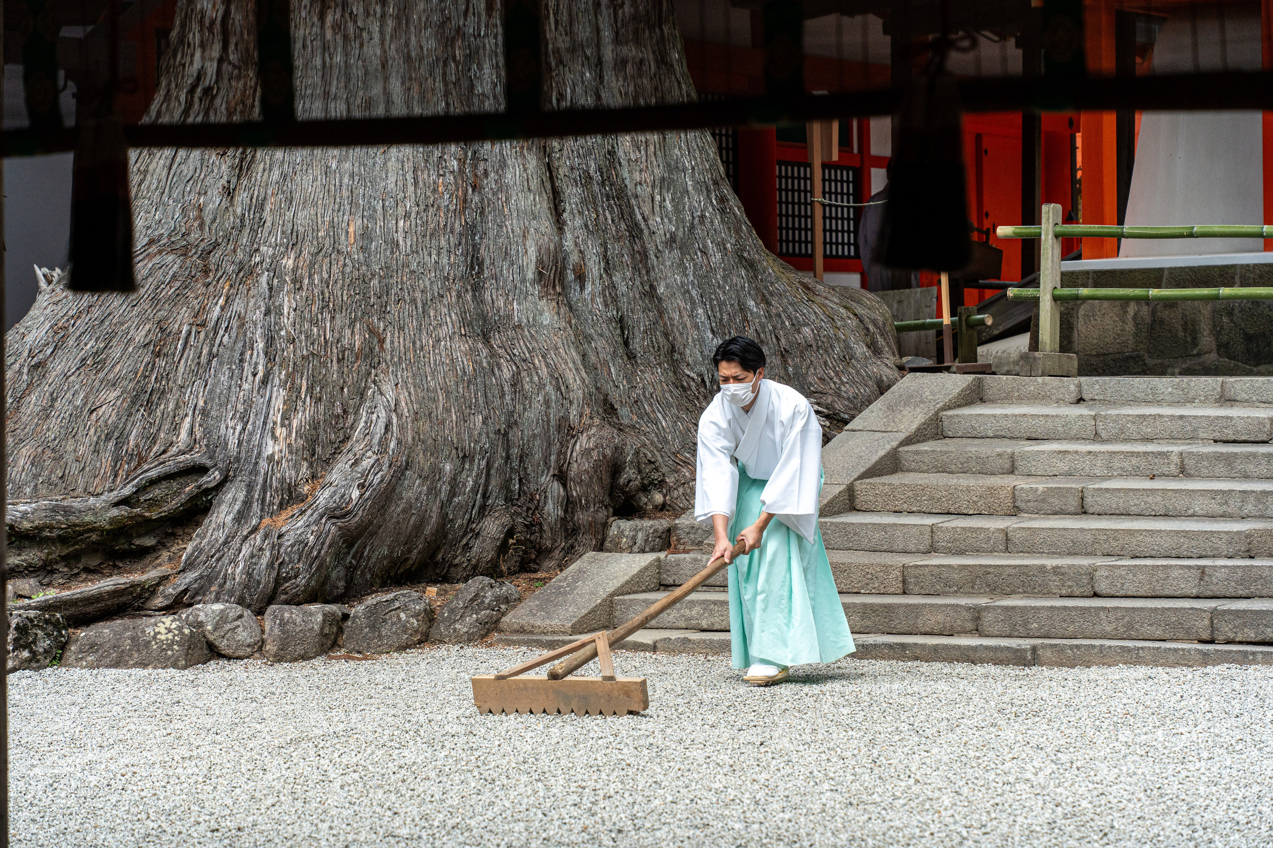 Япония, сакура. Творческие сьемки