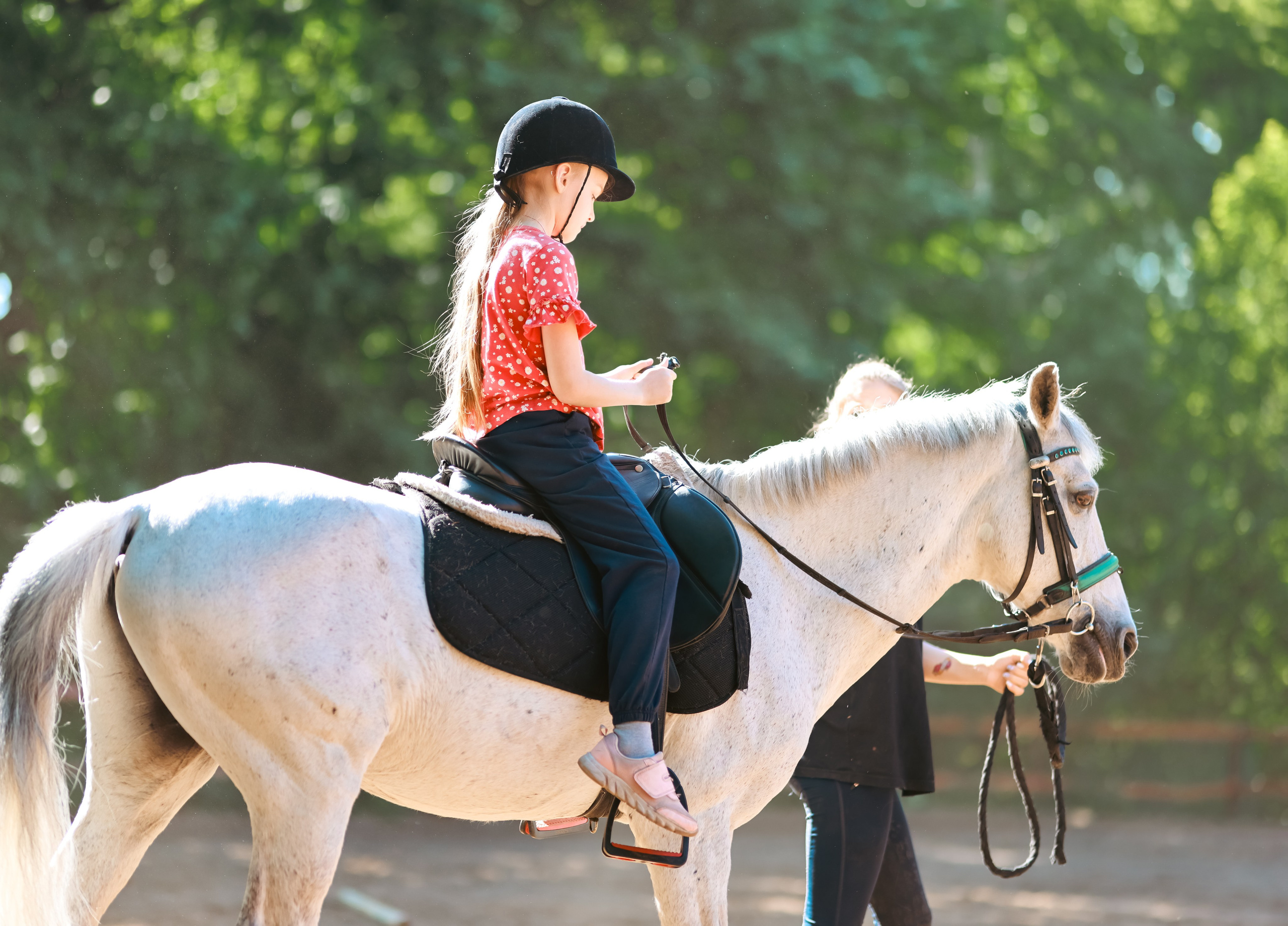 Корпоратив на конюшне. Фотограф репортажей и стритфотосессий в Москве Людмила Смирнова