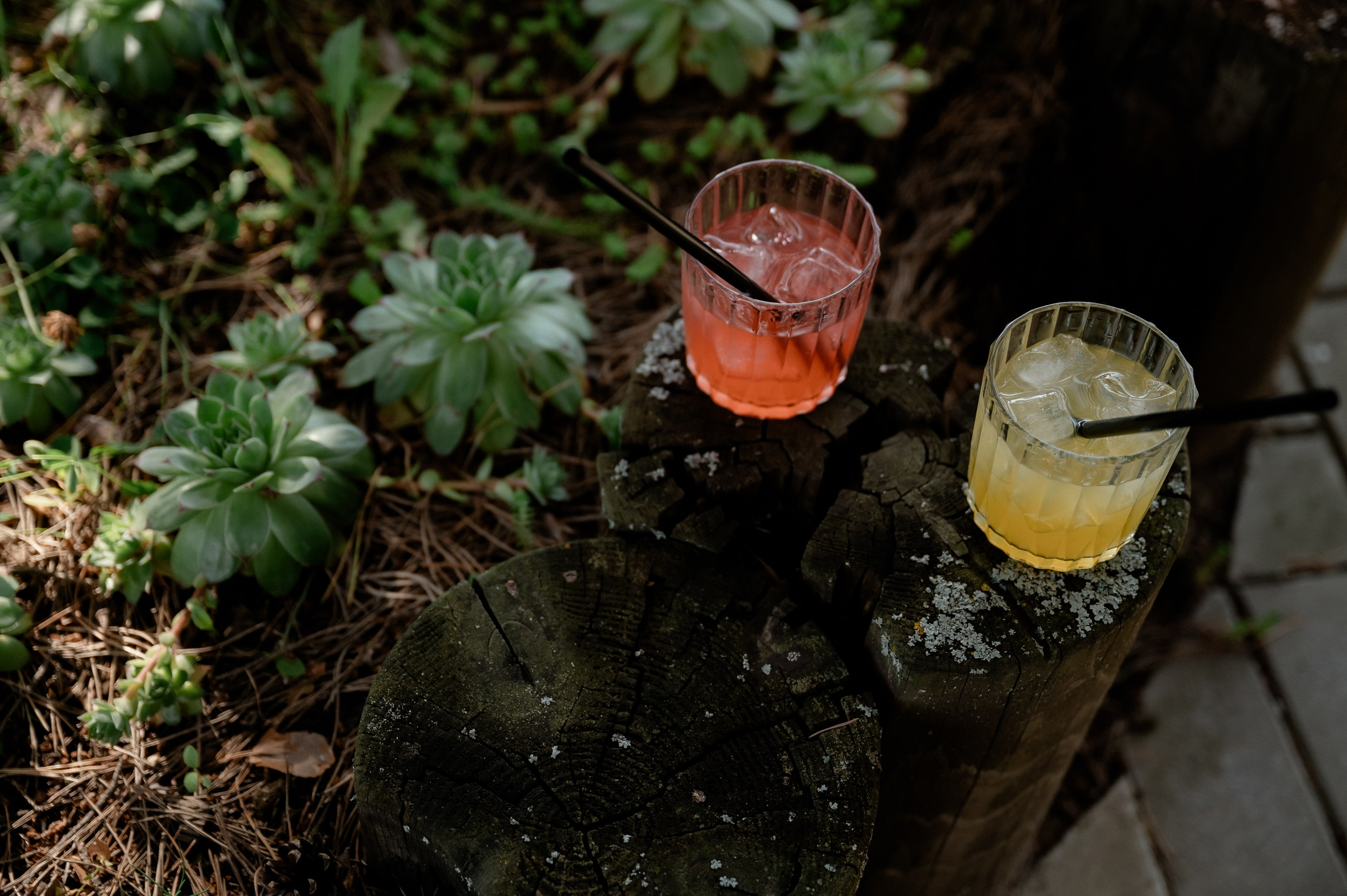 Юрий и Дарья. Фотограф Анна Пятак