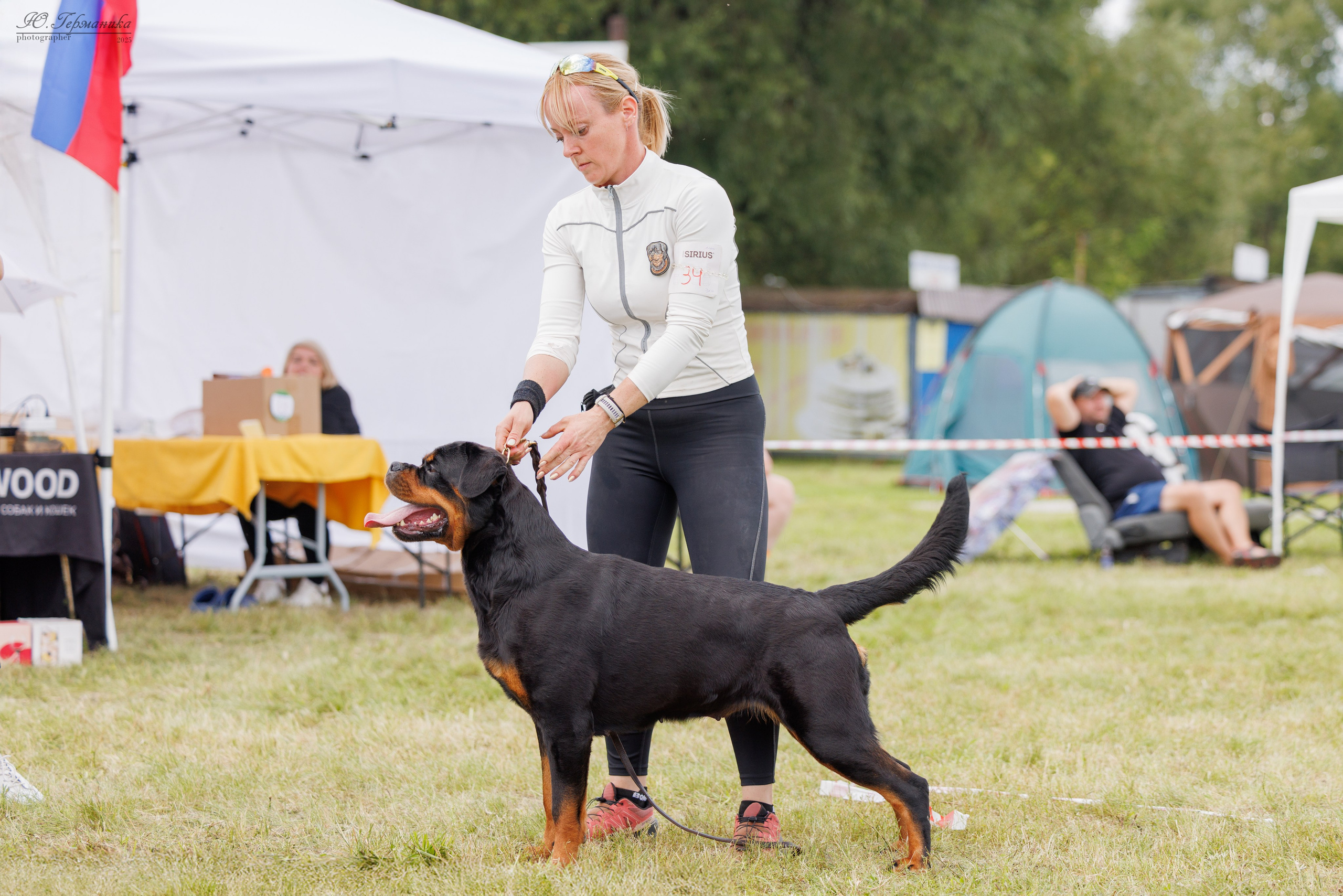Рязань 2хмоно ротвейлеры 16-17.08.2025. Фотограф-анималист Юлия Германика