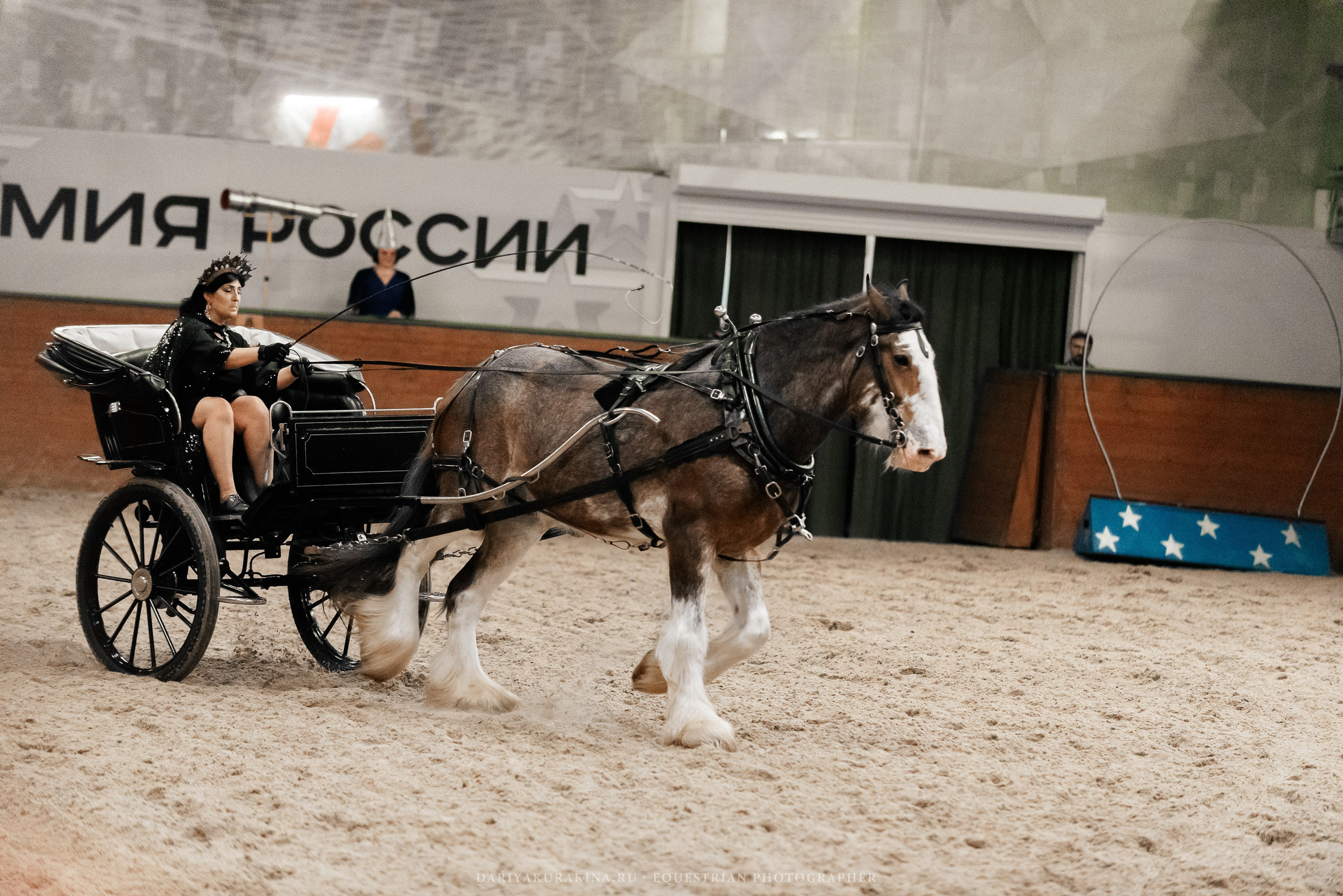Конное представление «Дыхание Звёзд». Конный фотограф Куракина Дарья • Фотосессии с лошадьми