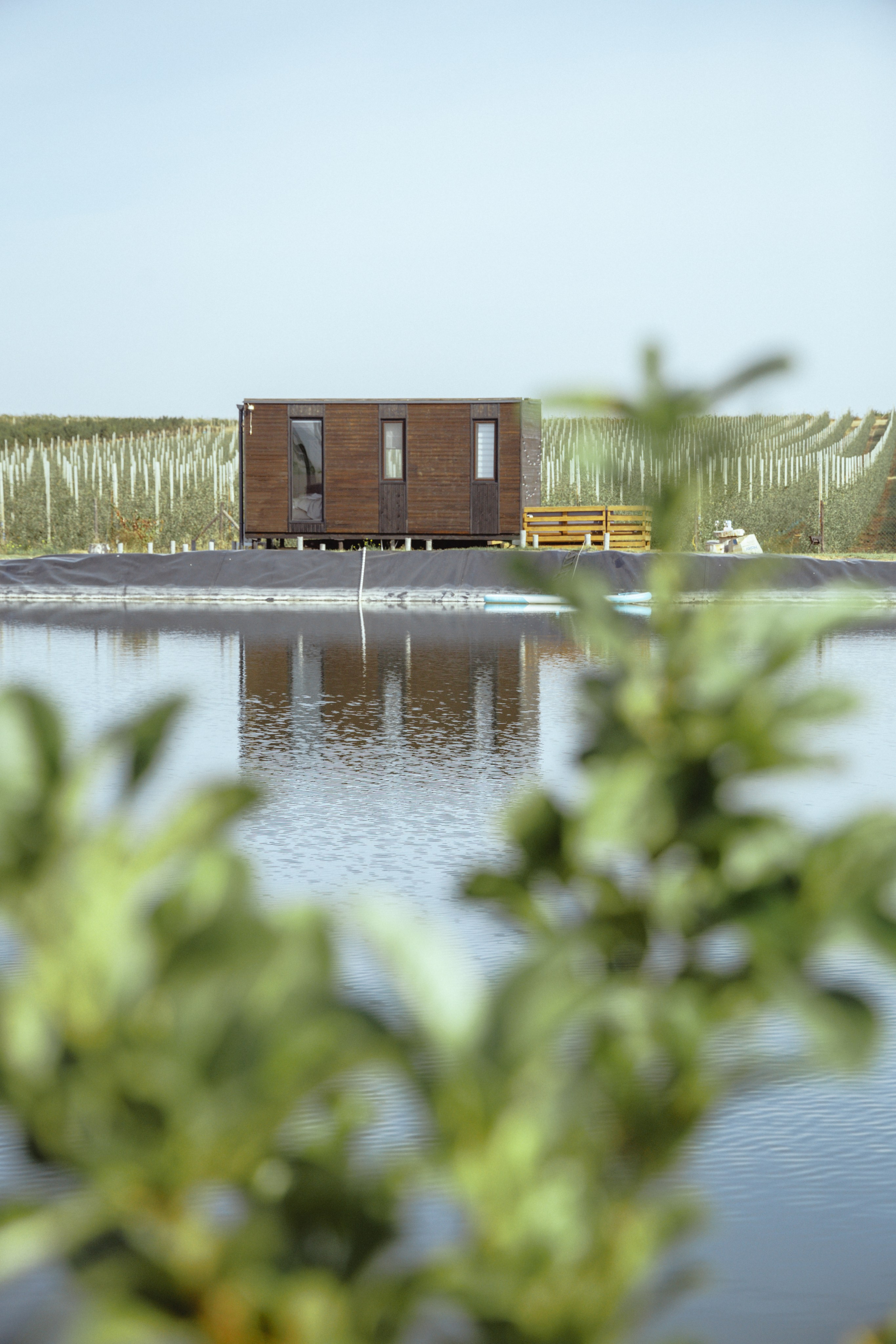 Domik в саду. Артем Корнев Фотограф