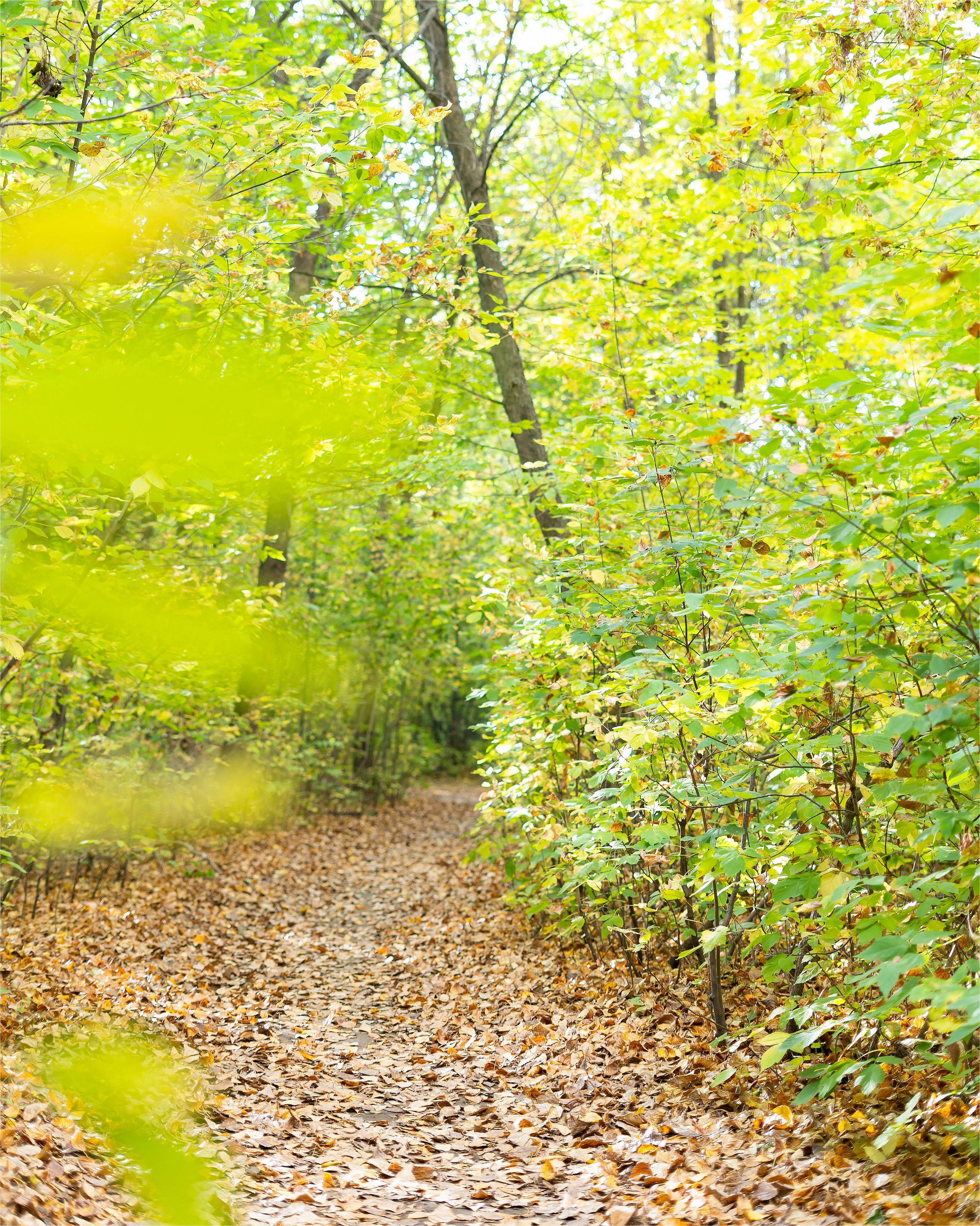 Фотосессия на природе Новосибирск Краснообск