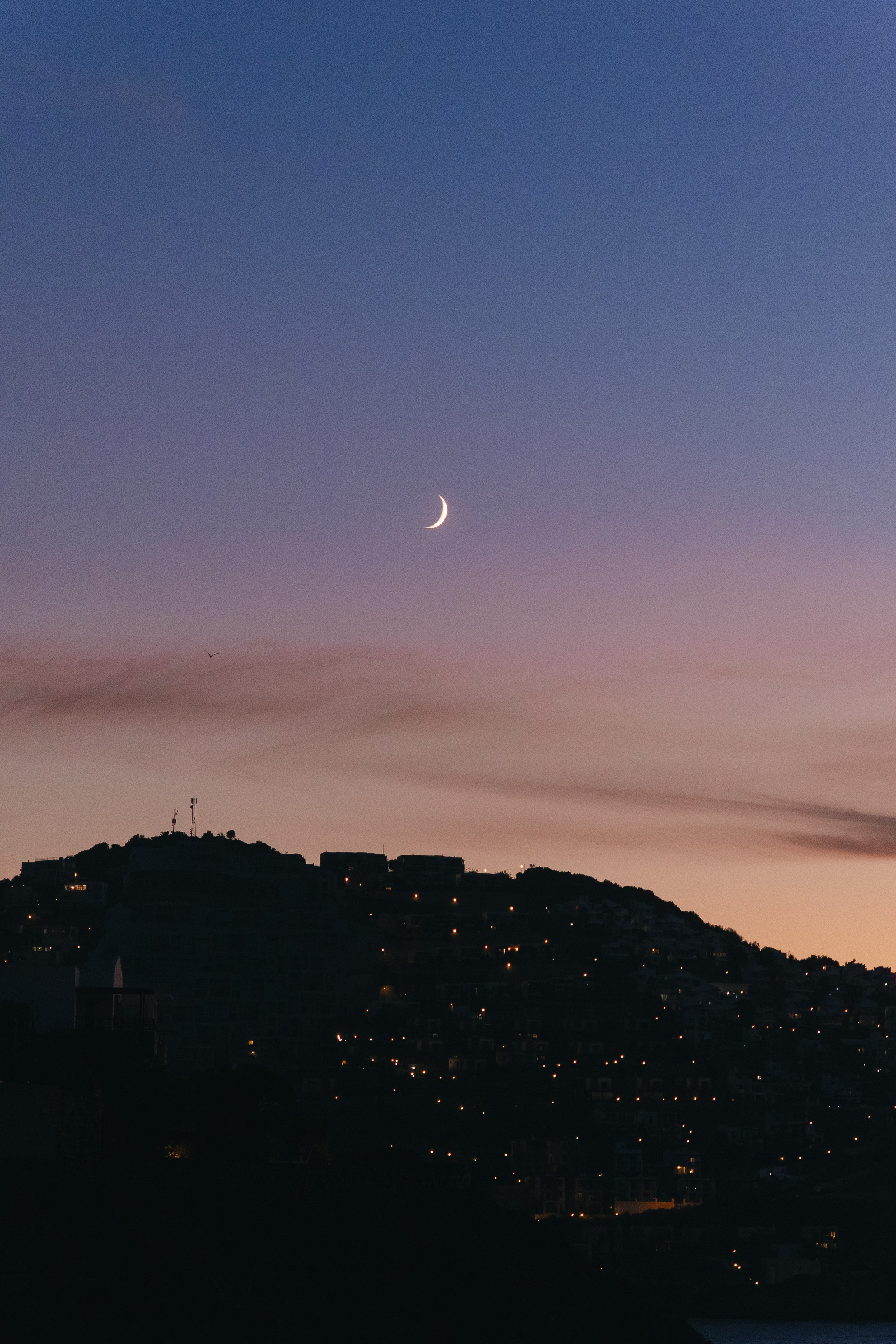 Если это то самое — впереди вся жизнь