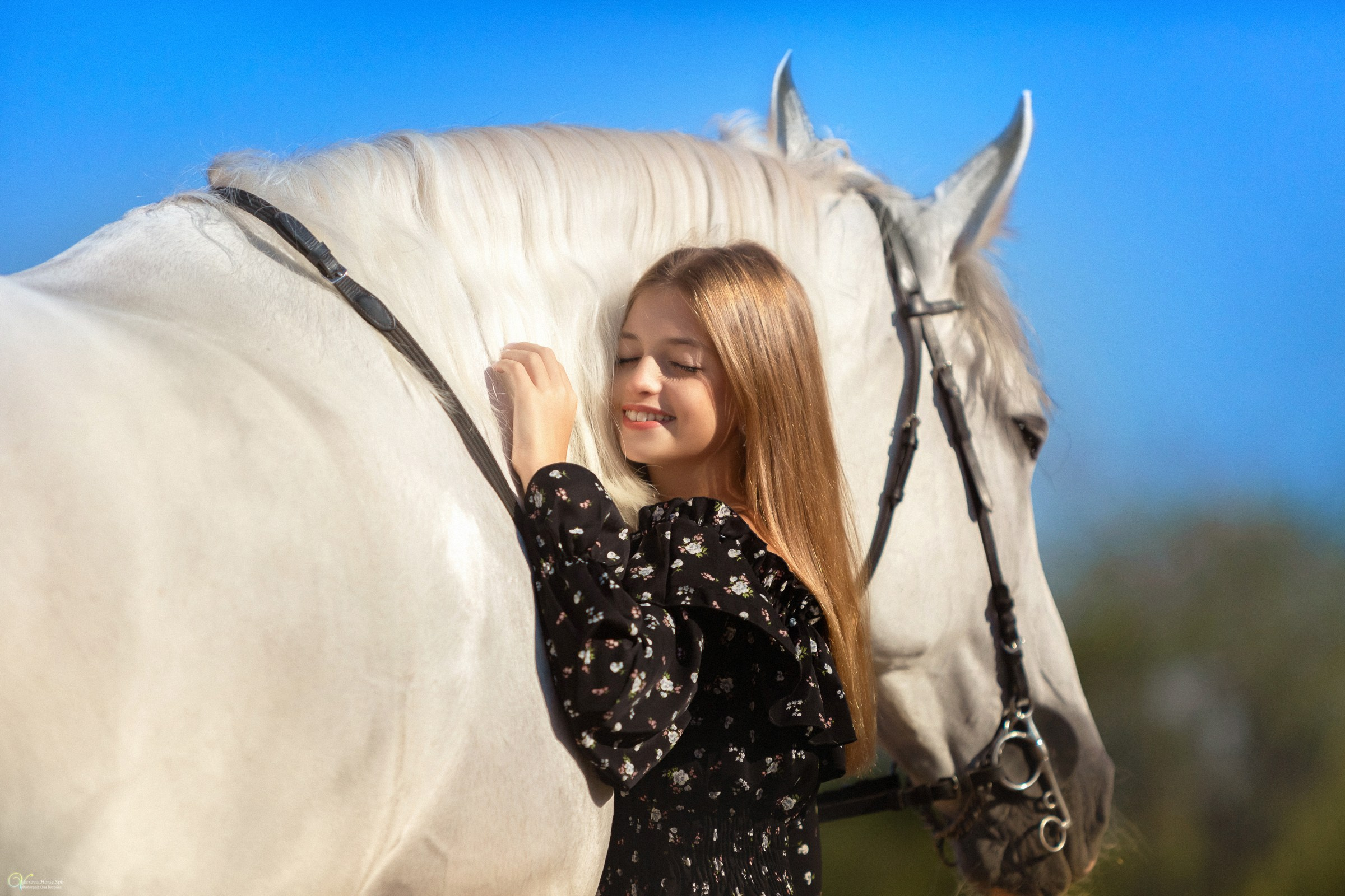 Девочка обнимает шею лошади