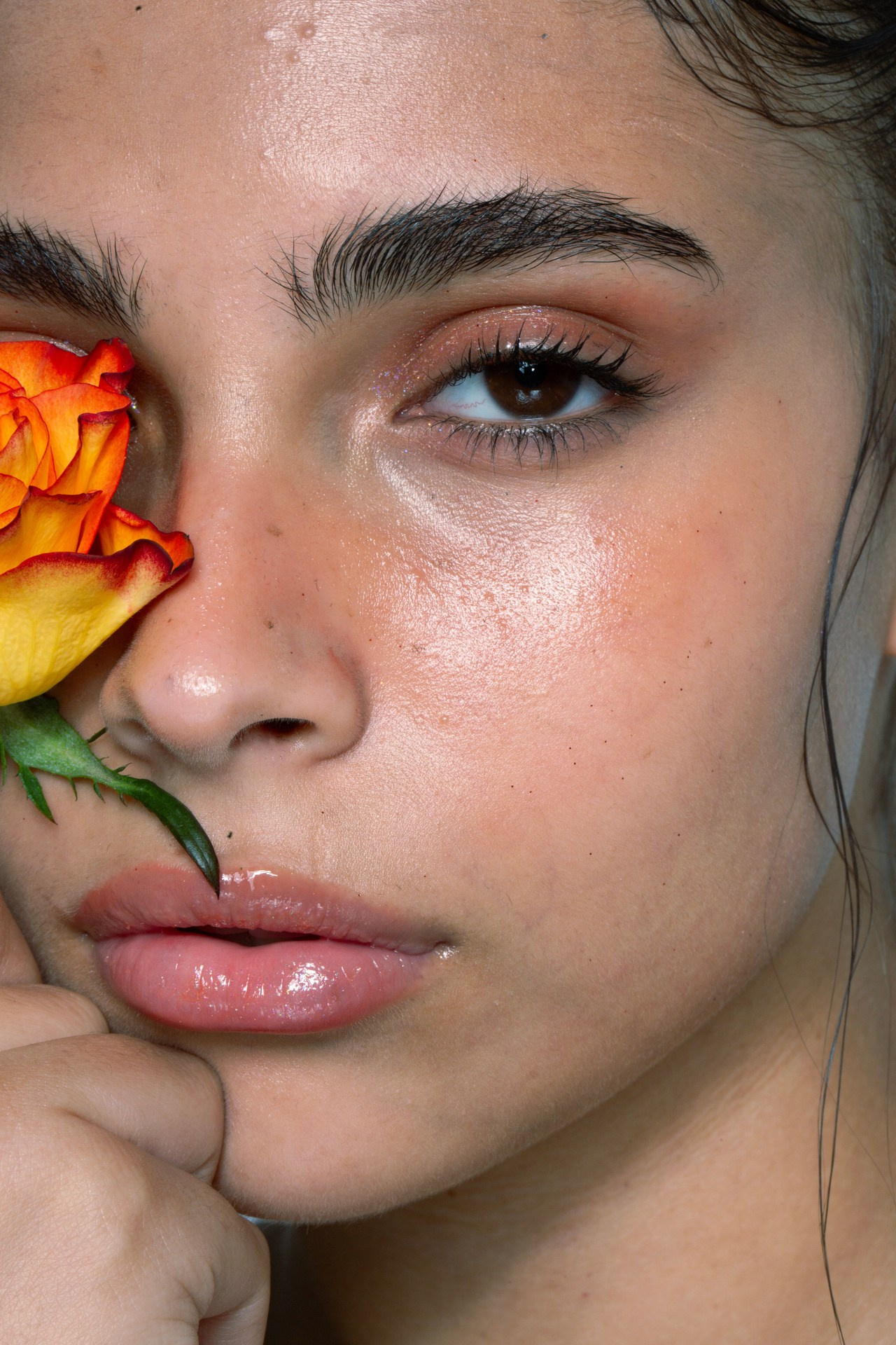 5 курсов вместе. Уроки по фотошопу простым языком