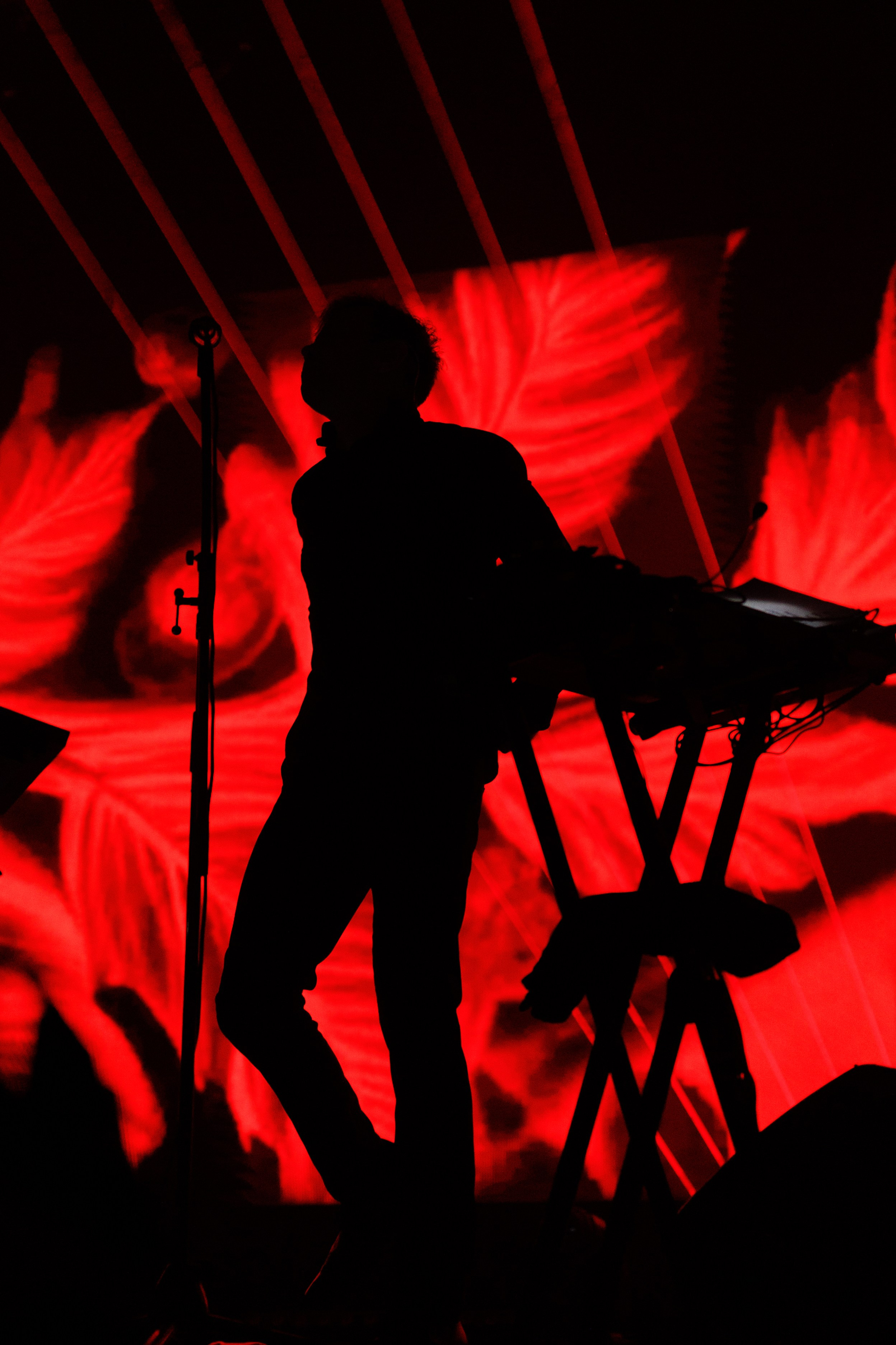 DOLPHIN Aurora Concert Hall. Фотограф в Санкт-Петербурге Гладкий Сергей