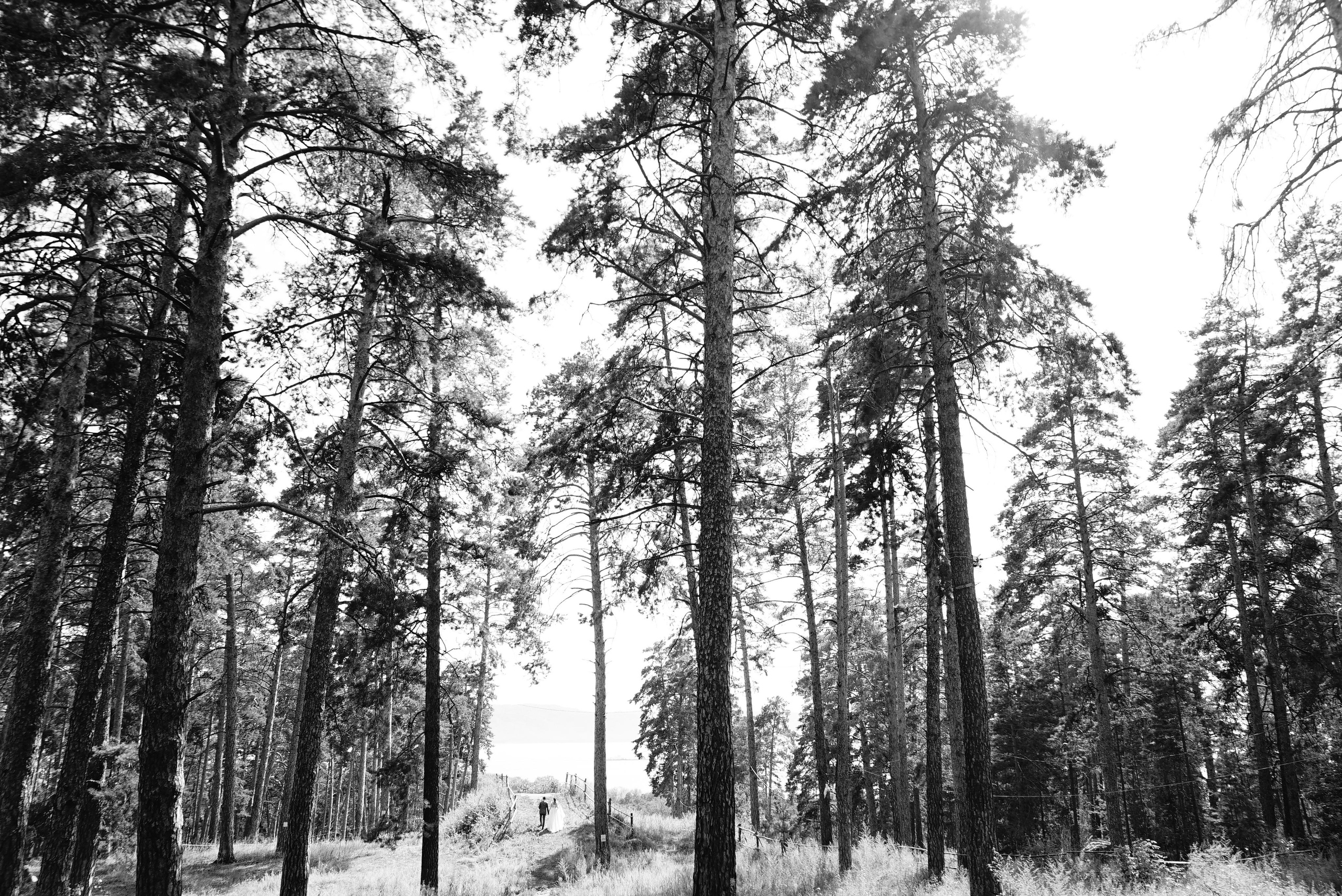 Владислав и Анна. Свадебный фотограф в Самаре Анна Ковалева