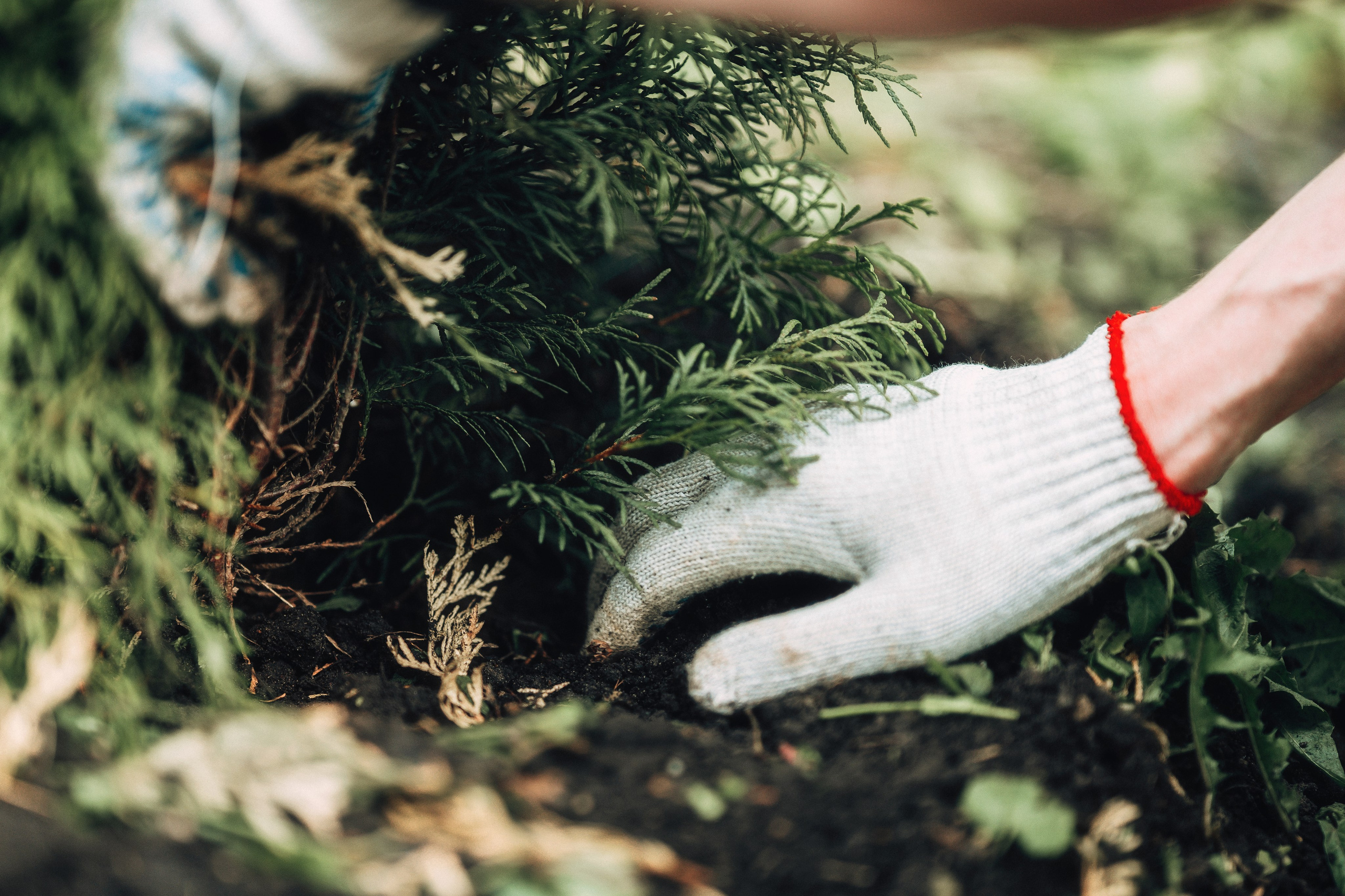 Благотворительная репортажная фотосъемка. Свадебный и репортажный фотограф в Воронеже Роман Янко