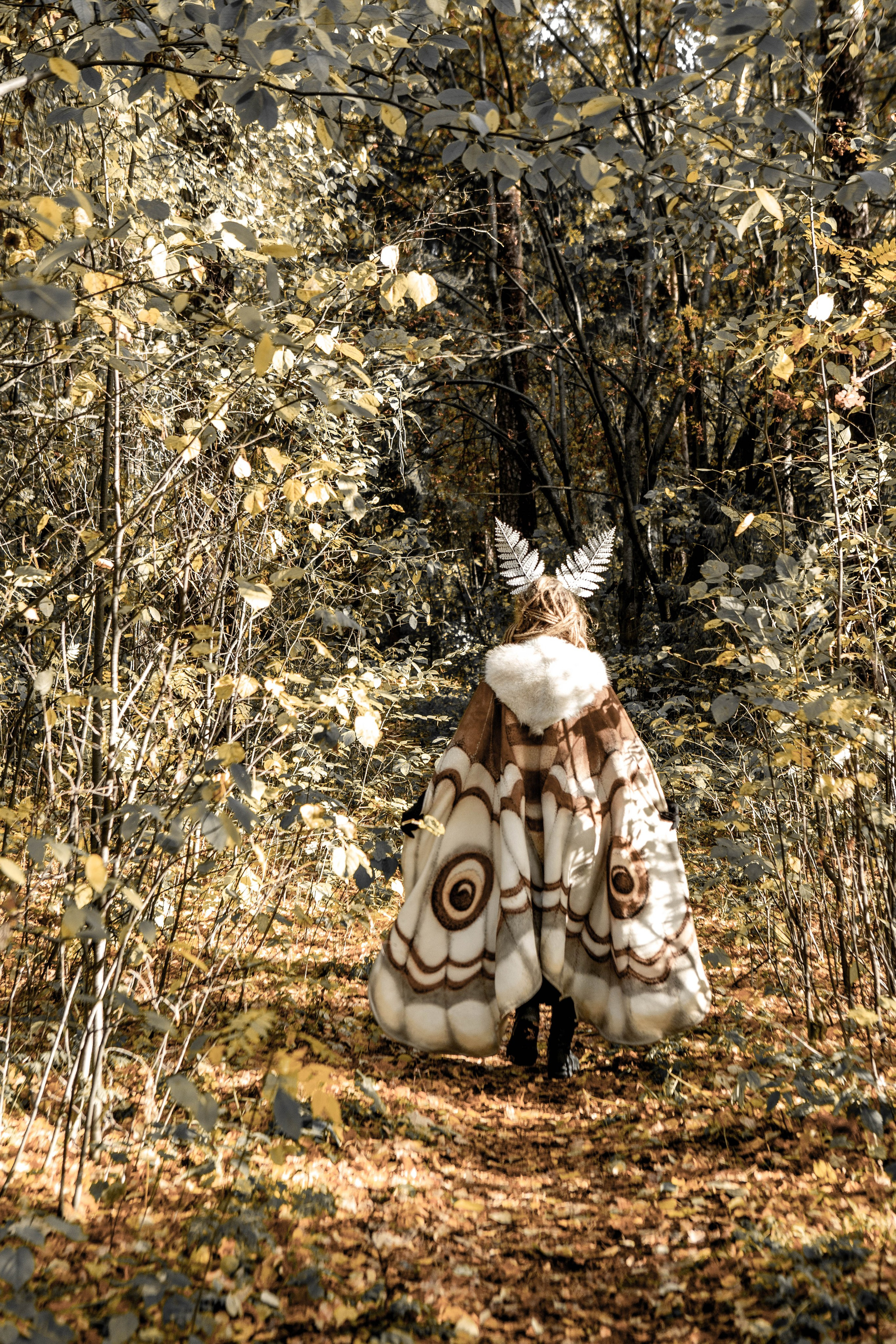 Волшебный лес. Фотограф Екатерина Голицына