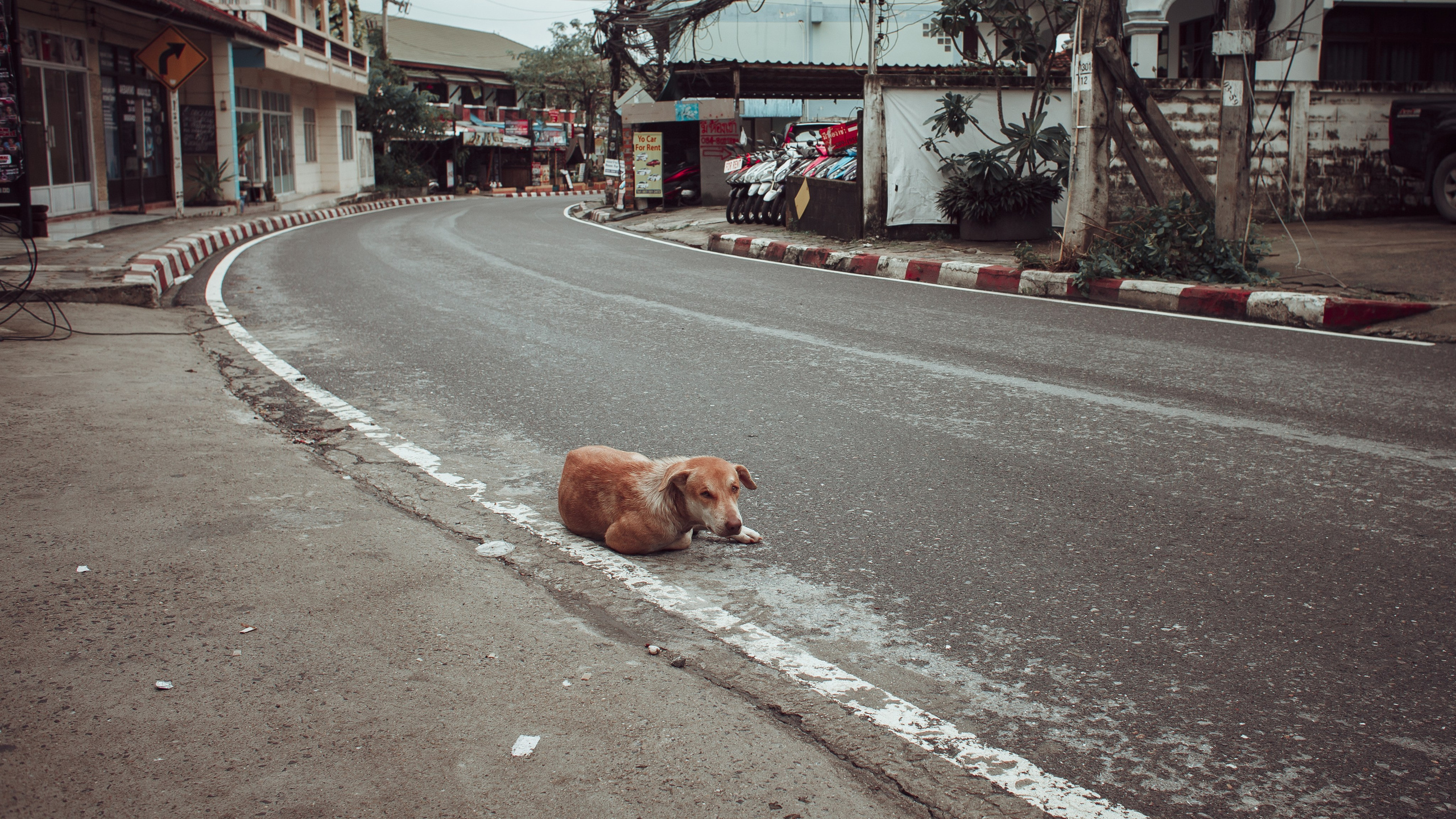 Самуи Собачий остров. Ню Фотограф Александр Касымов Москва, фотосессии, Химки фотограф
