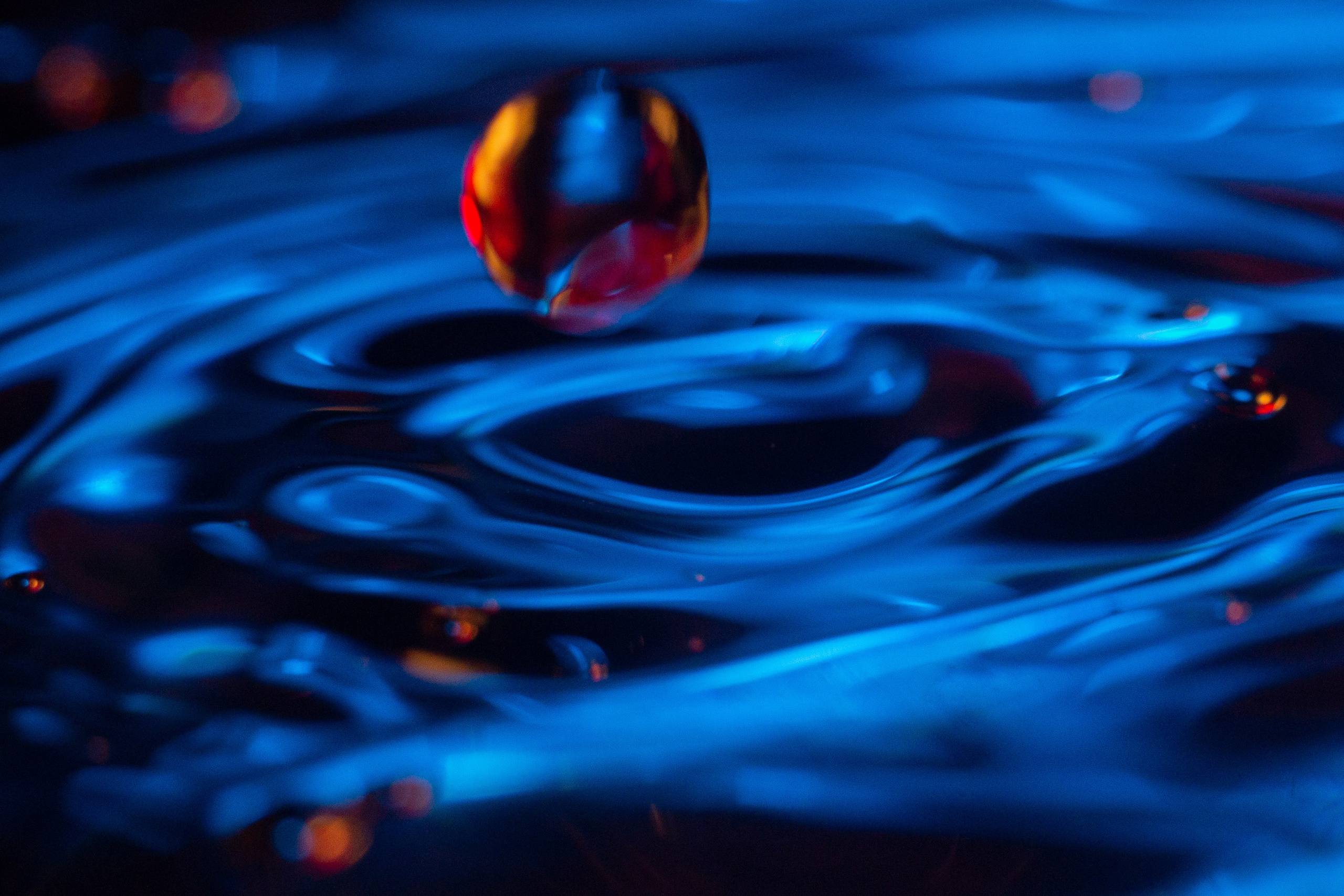 Макро. Фотограф Лагутин Анатолий