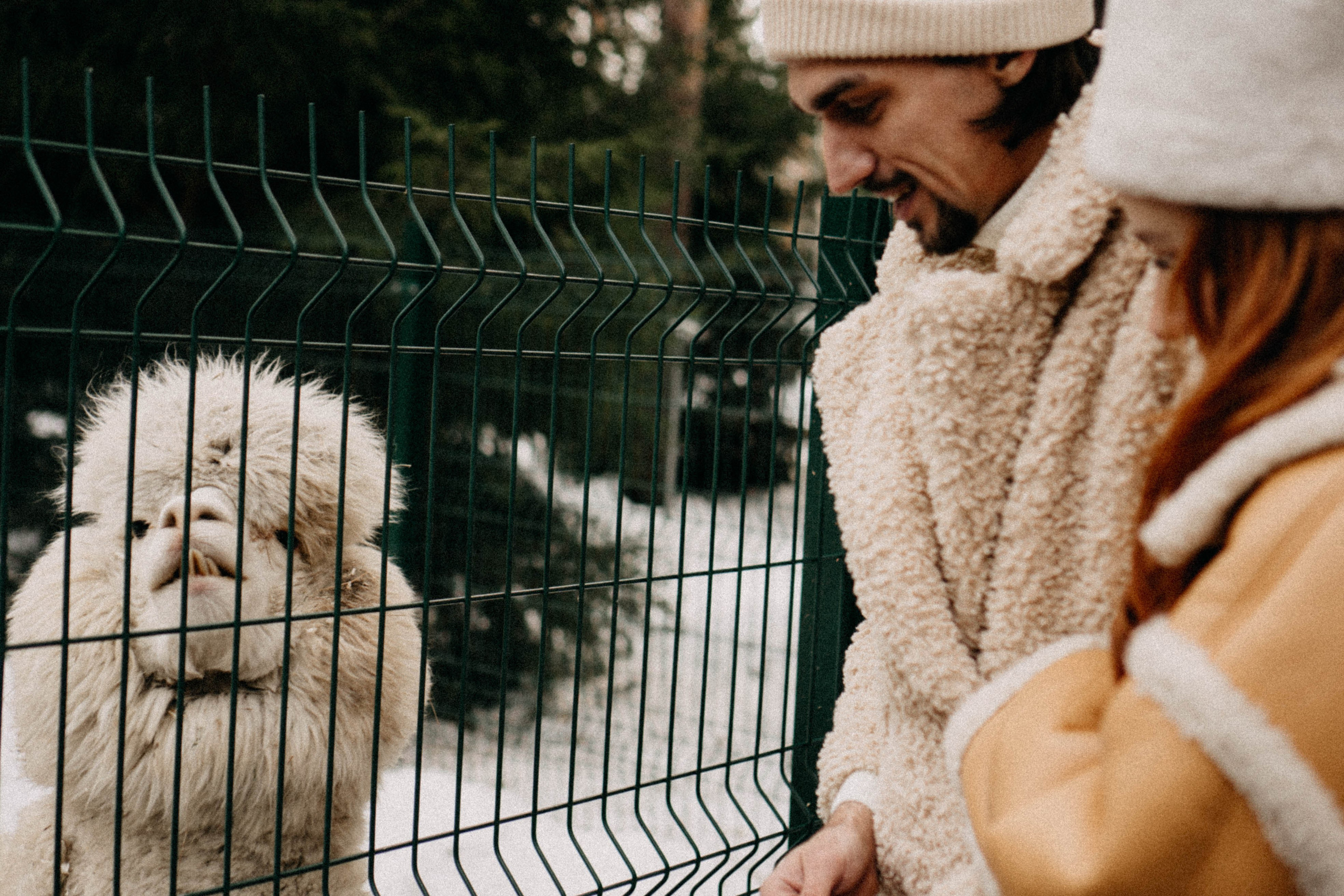 Каток. Профессиональный фотограф, Санкт-Петербург — Виктория Богомолова