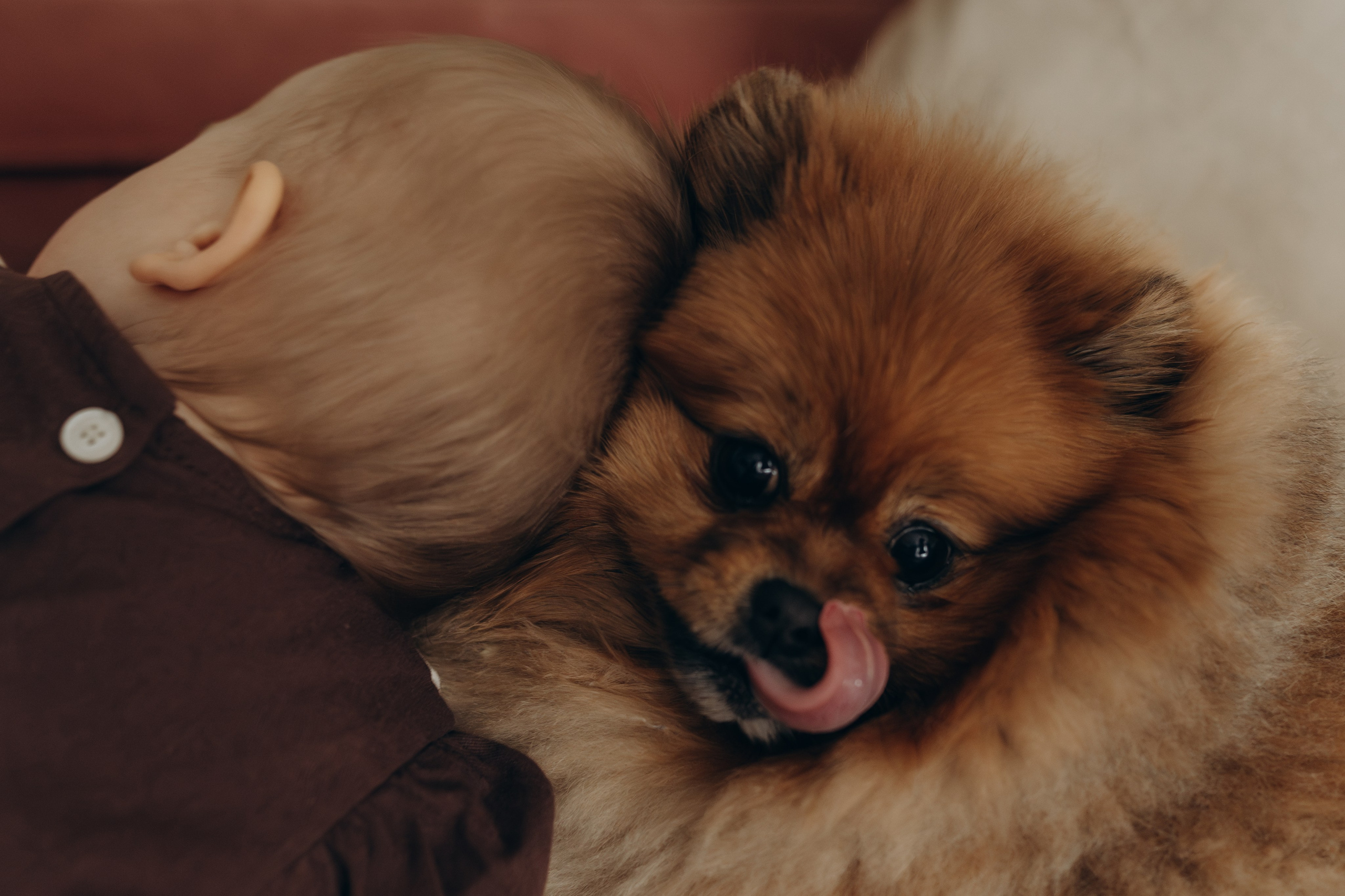 Первый день рождения. Семейный фотограф Москва. Фотограф беременности и материнства Москва