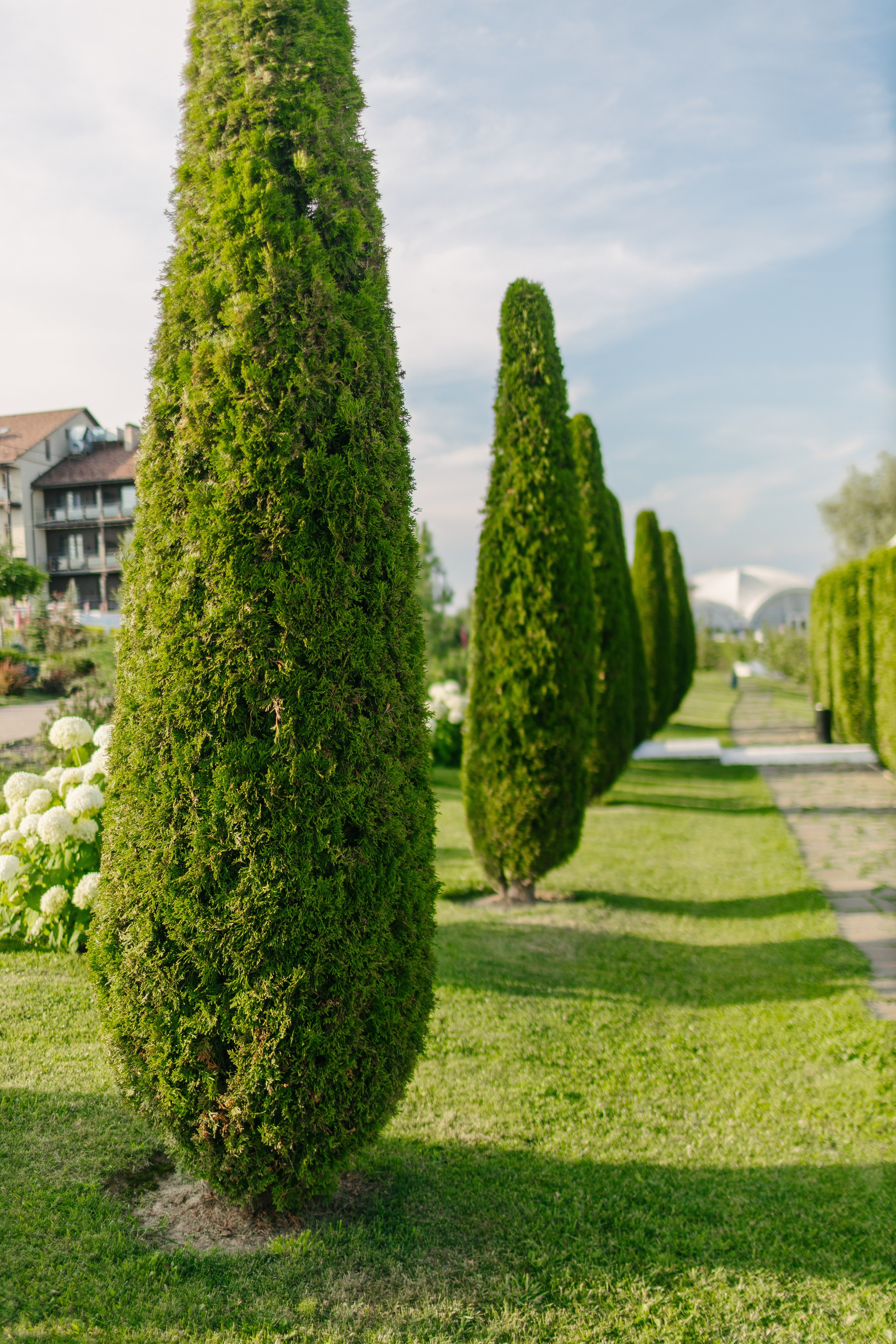 2707. Портфолио свадебного фотографа. Роман Каргаполов