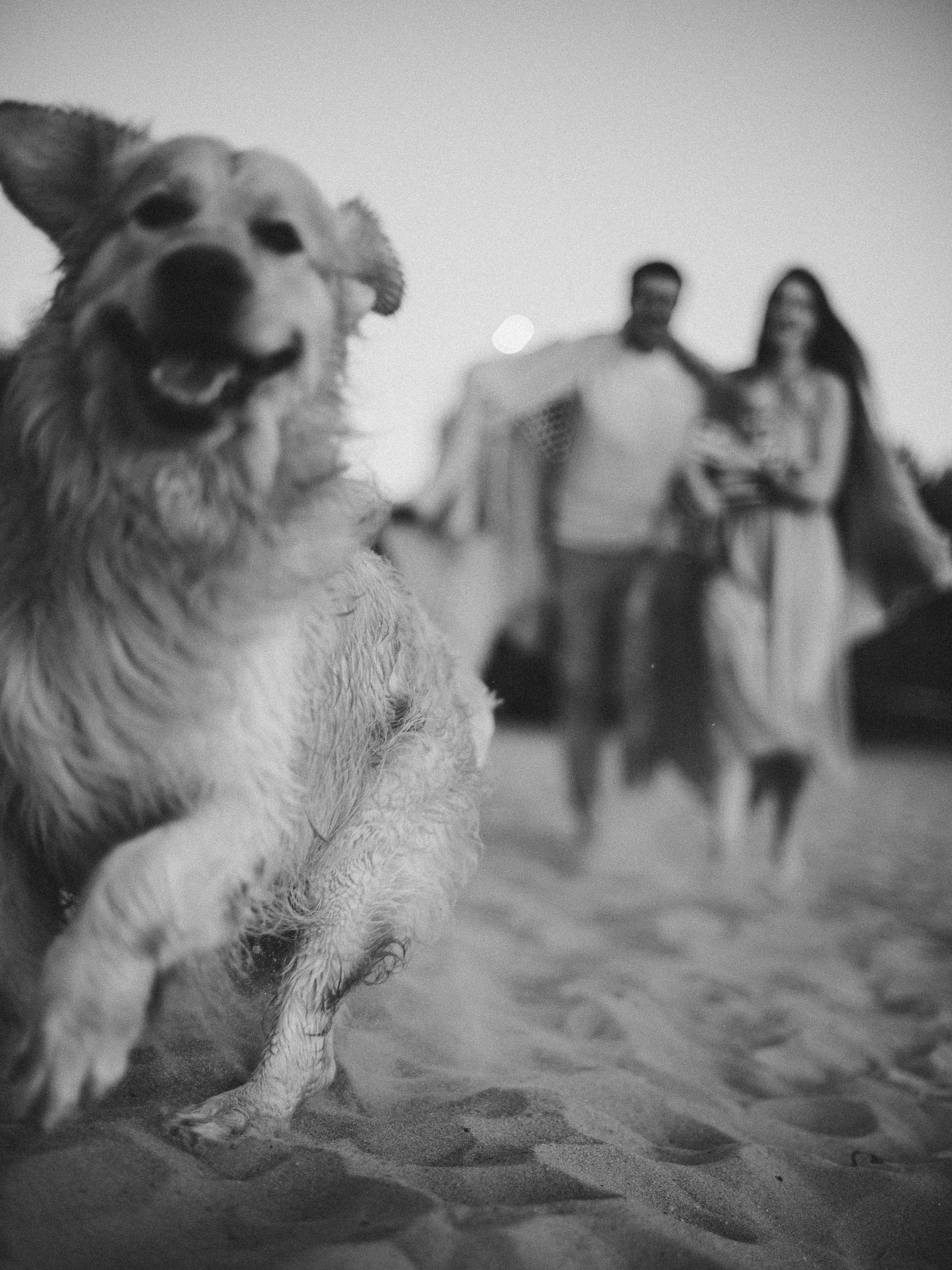 Прогулочная фотоистория. Фотограф Любовь Подосенова Липецк|Воронеж