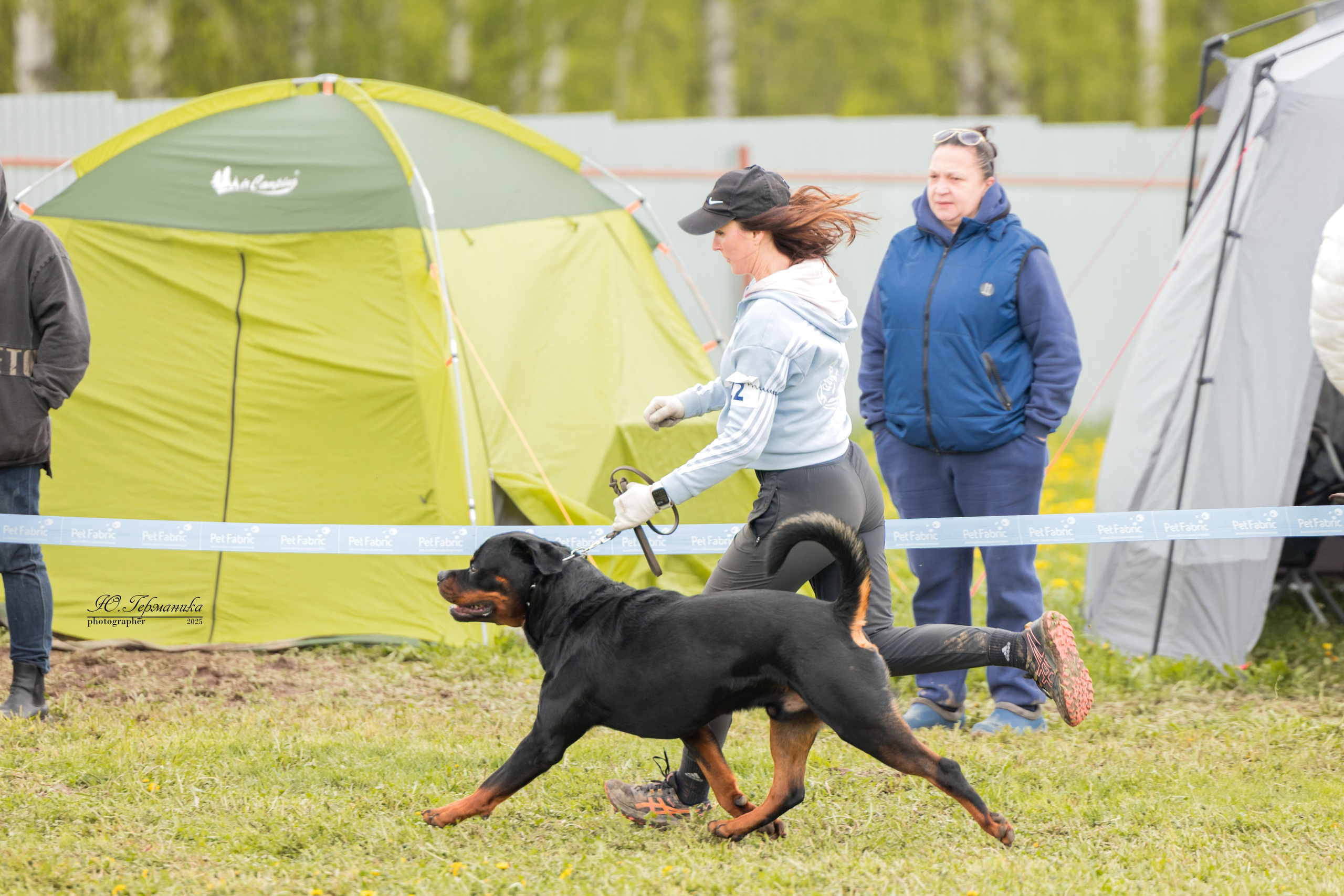 Нижний Новгород 2хмоно ротвейлеров 10-11.05.2025. Фотограф-анималист Юлия Германика