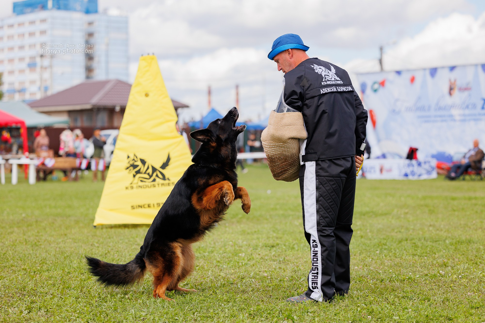 Немецкие овчарки: фото из рингов и вне ринга, мутпроба (фотографии с выставок). Фотограф собак, фотограф-анималист Аня Титова (Titanya). Москва