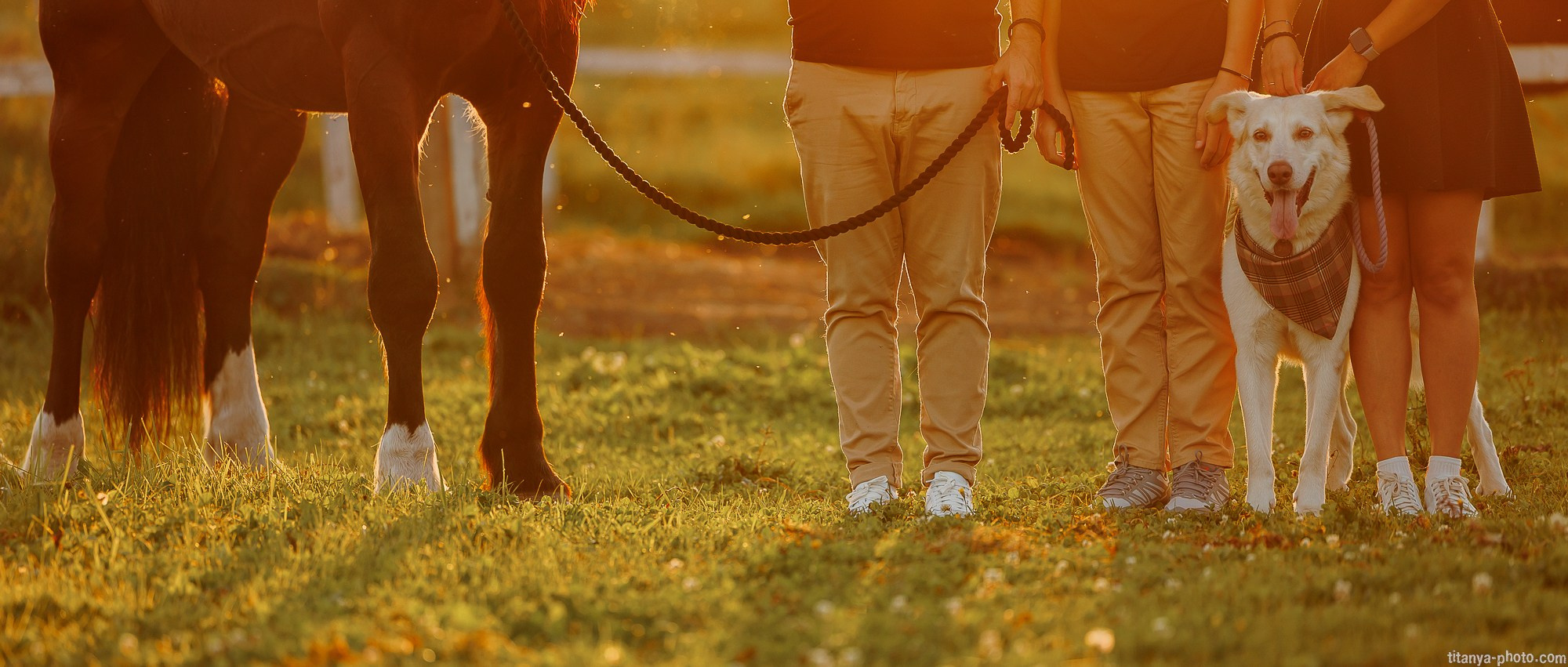 Закатная семейная фотосессия: про Настю и её дружную семью. Фотограф собак, фотограф-анималист Аня Титова (Titanya). Москва