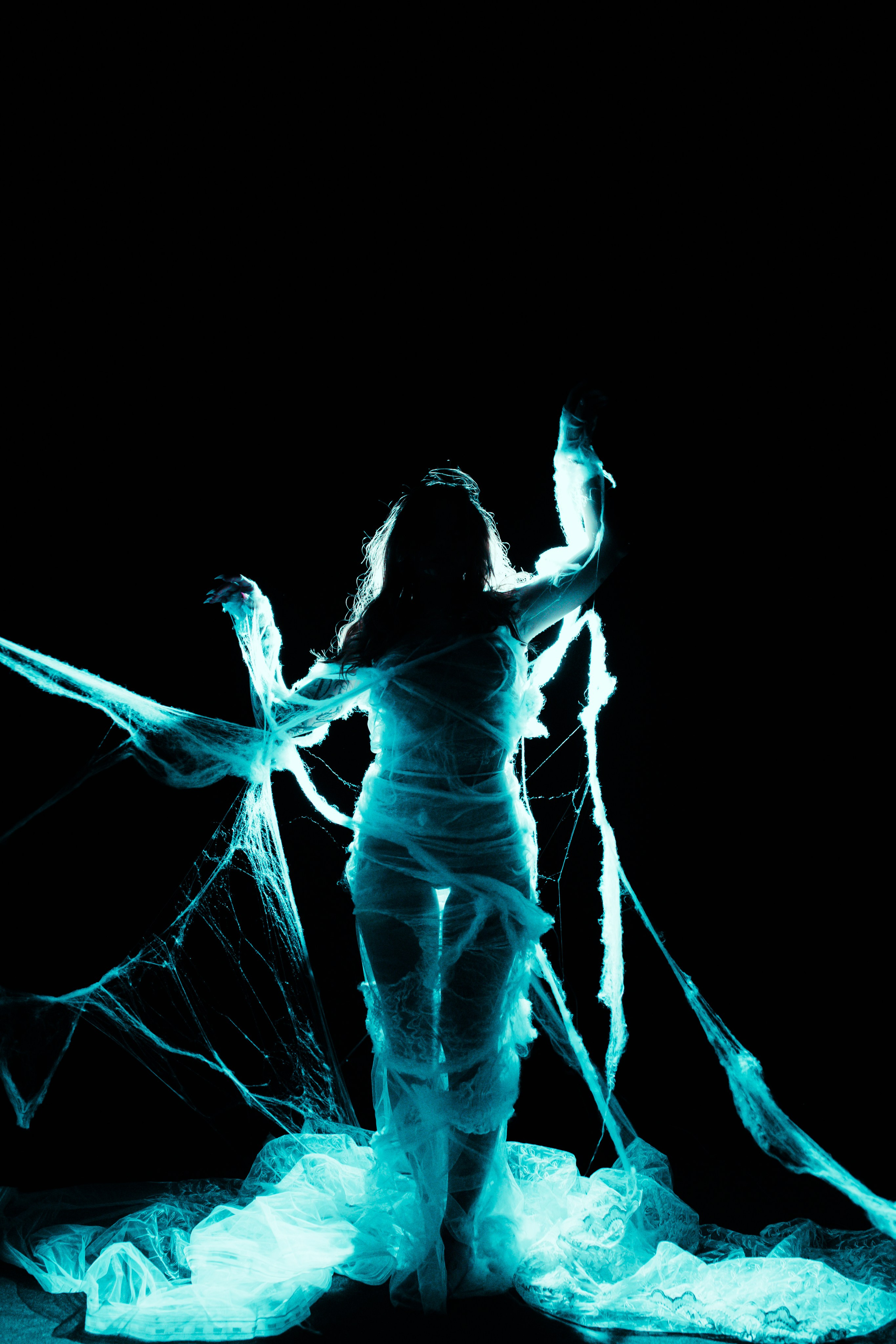 Diibae spider. Фотограф из Санкт-Петербурга Валерия Ленских