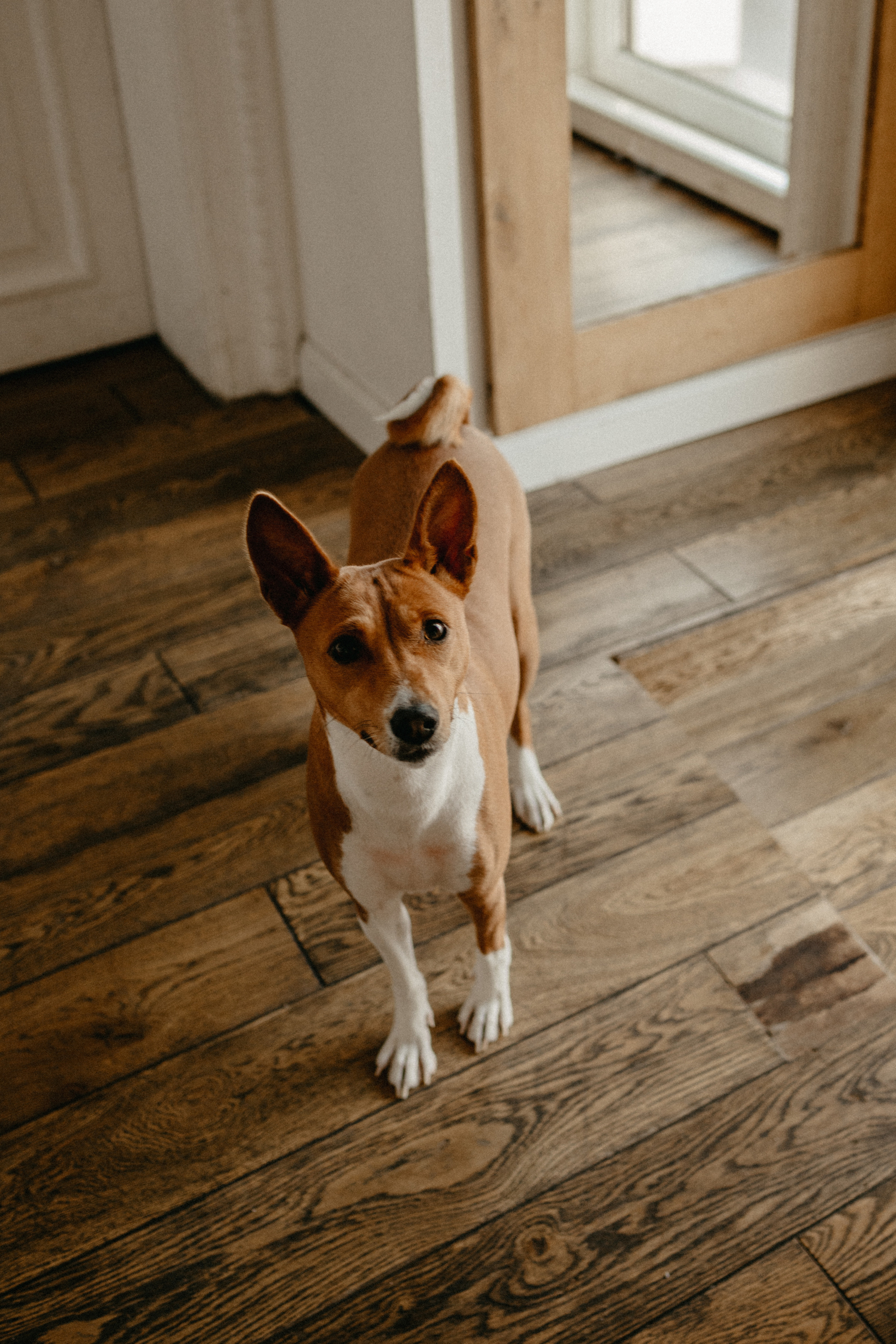 Питерские истории. Семейный и свадебный фотограф в Краснодарском крае и РА Юлия Голуб