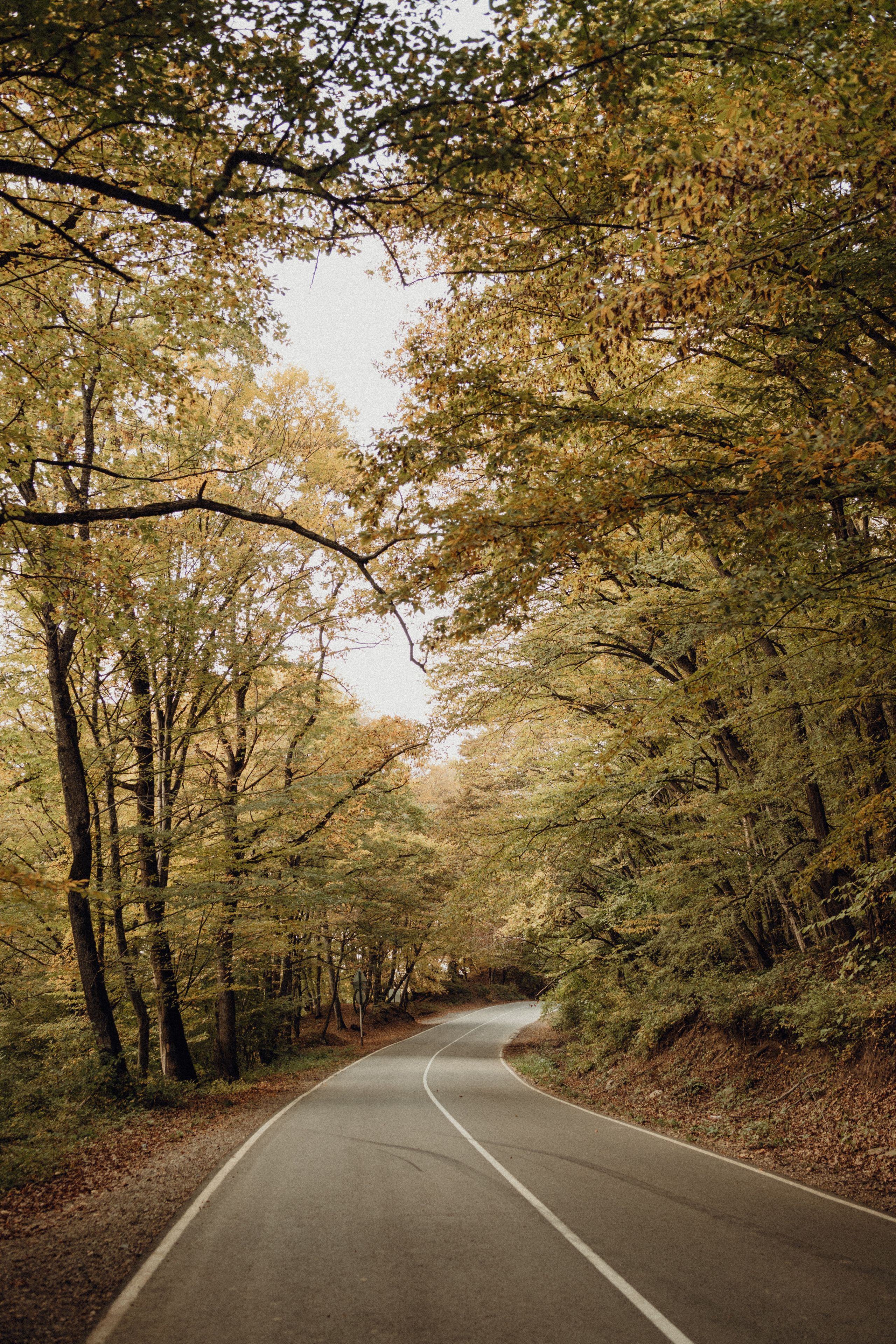 Осень. Семейный и свадебный фотограф в Краснодарском крае и РА Юлия Голуб