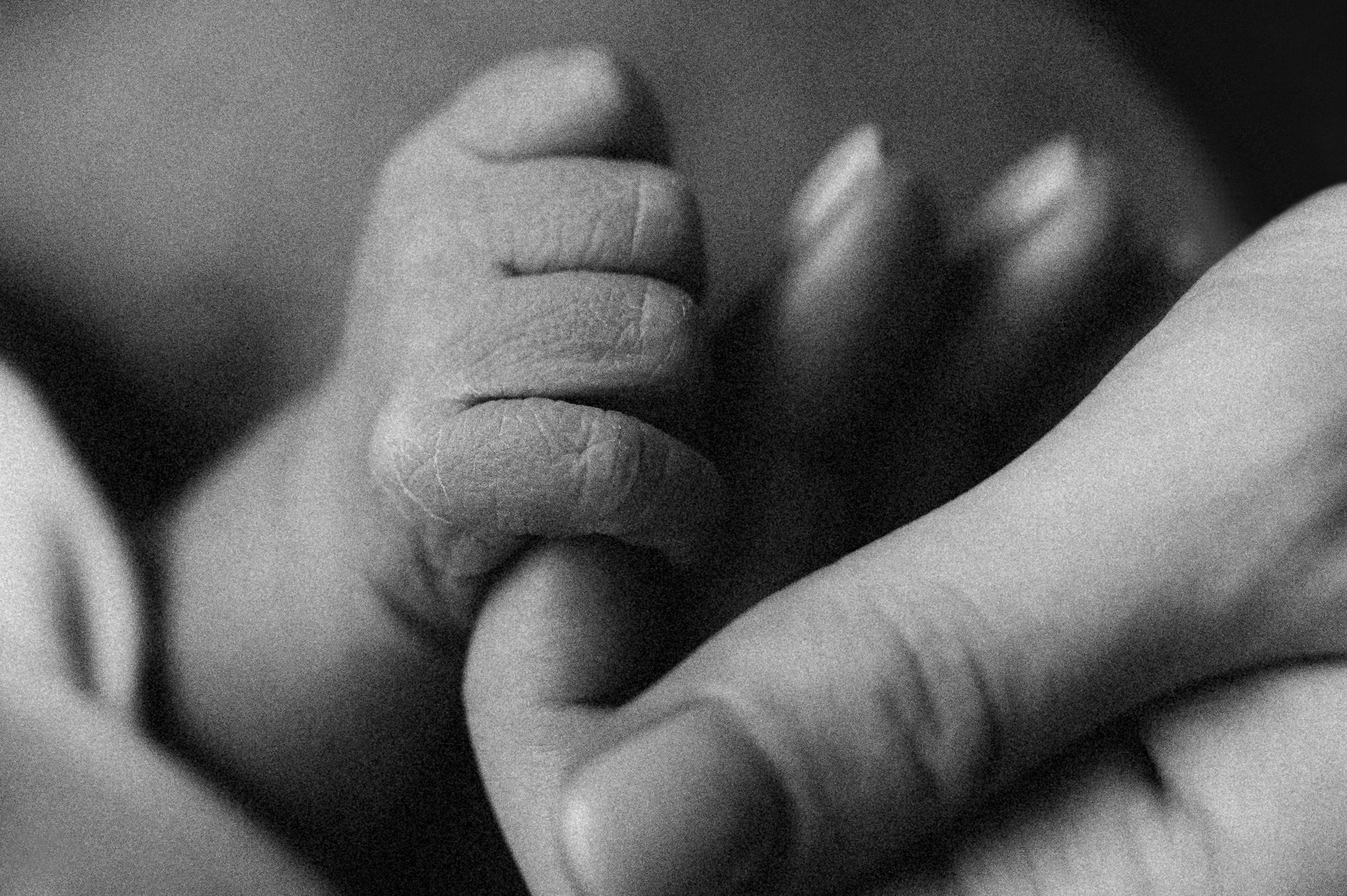 ВЫПИСКА. Семейный фотограф в Новосибирске Женя Индрикова