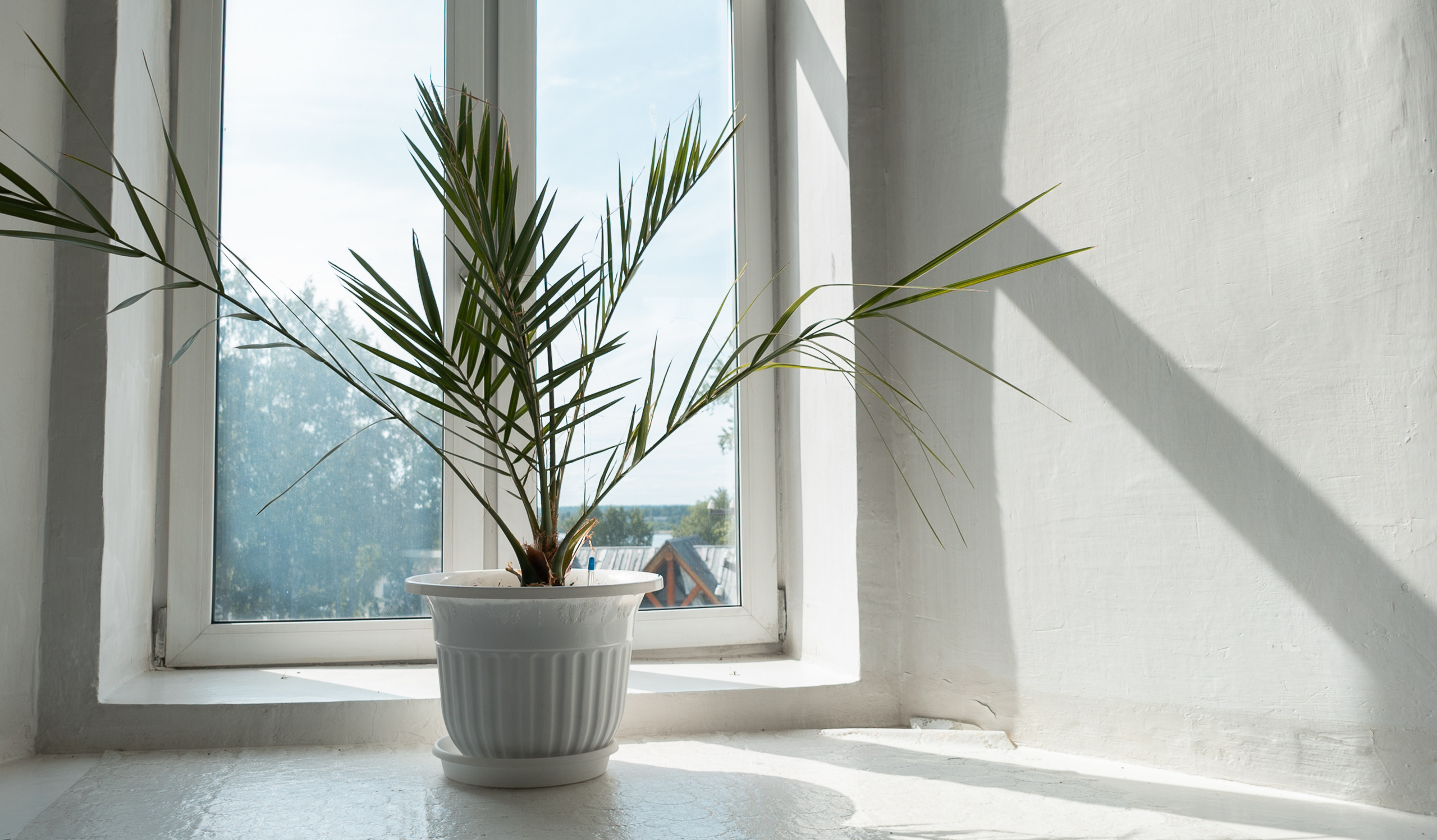 Интерьер | Экстерьер. Оператор-постановщик и фотограф Филипп Угланов