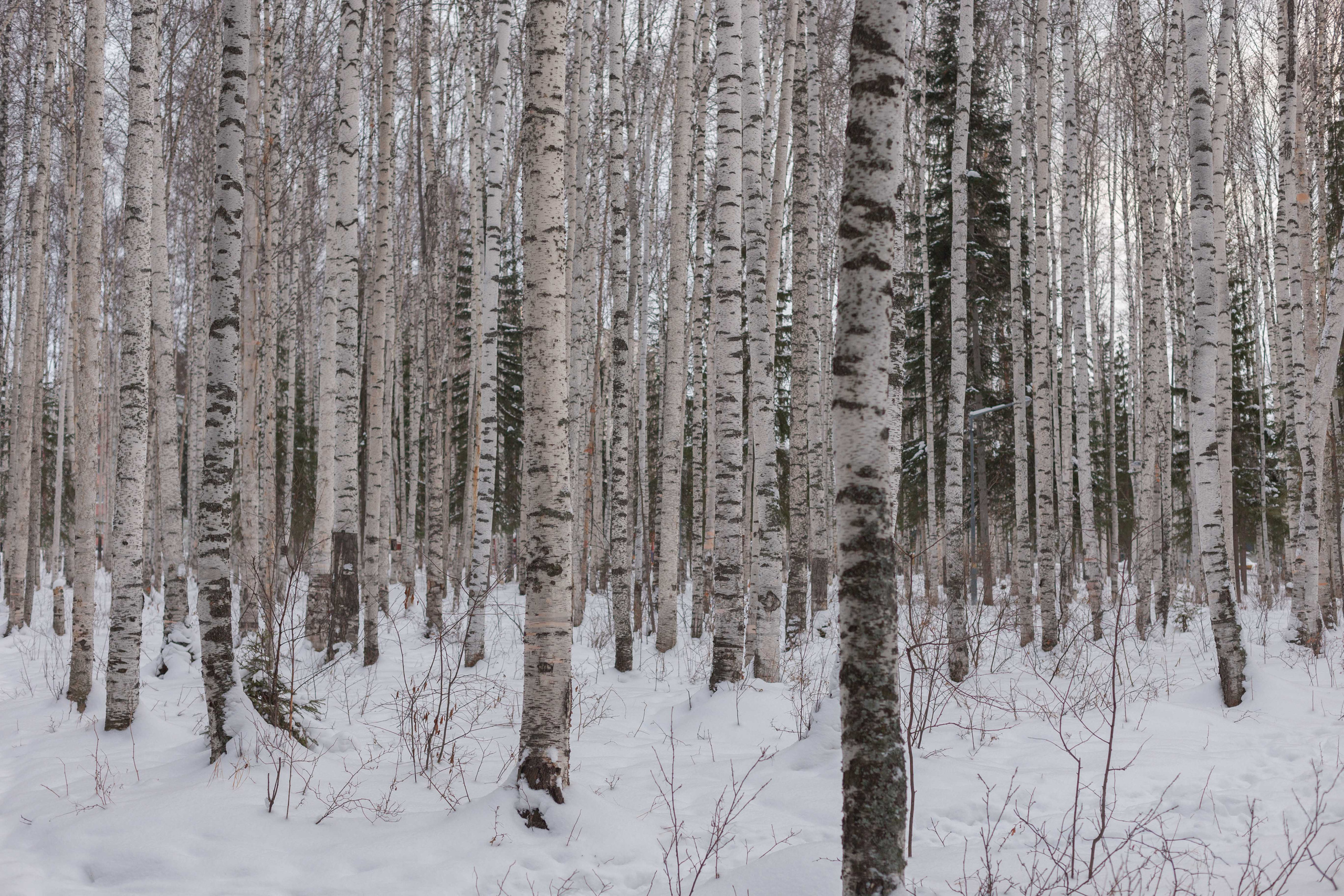 Интерьер | Экстерьер. Оператор-постановщик и фотограф Филипп Угланов