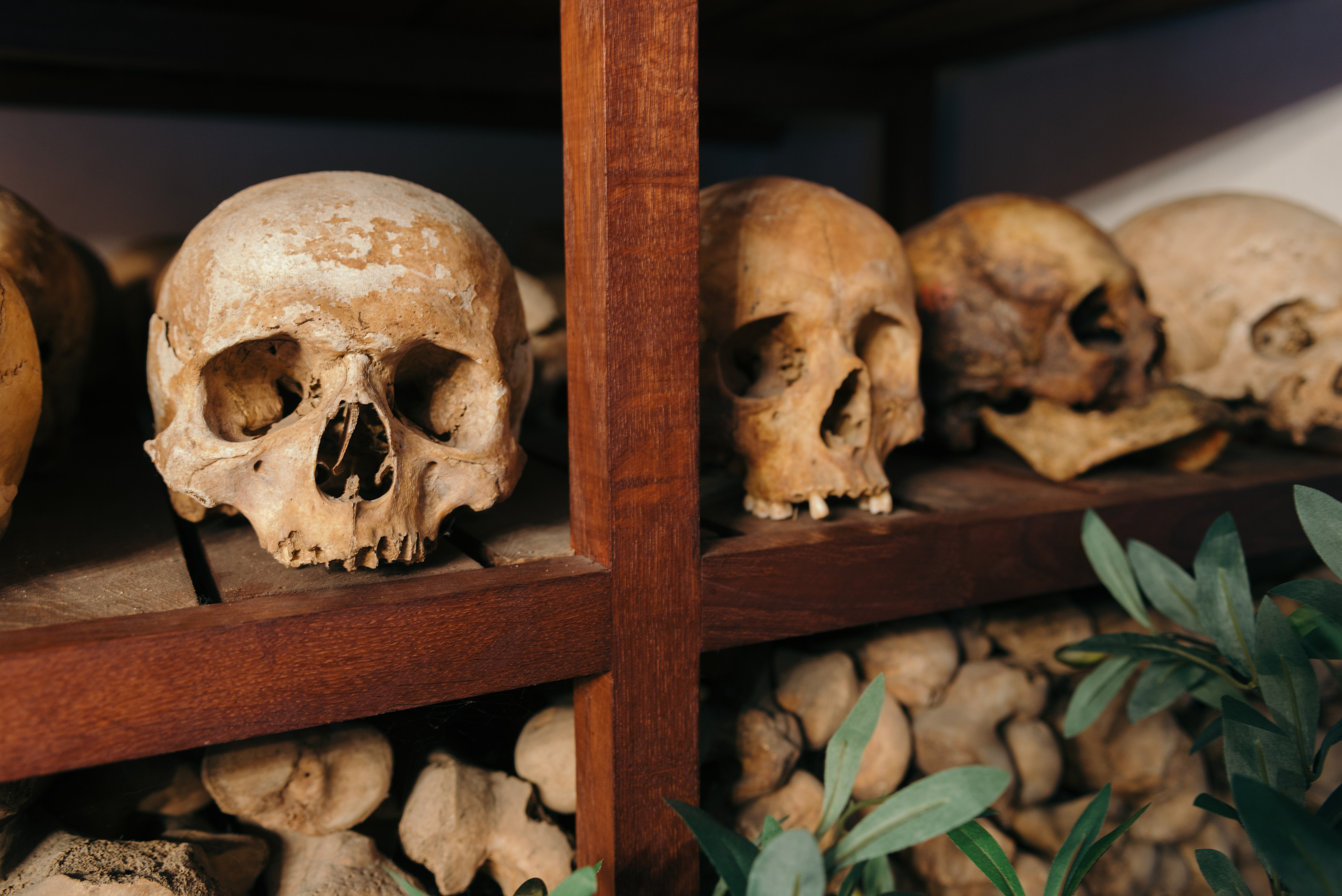 Интерьер | Экстерьер. Оператор-постановщик и фотограф Филипп Угланов