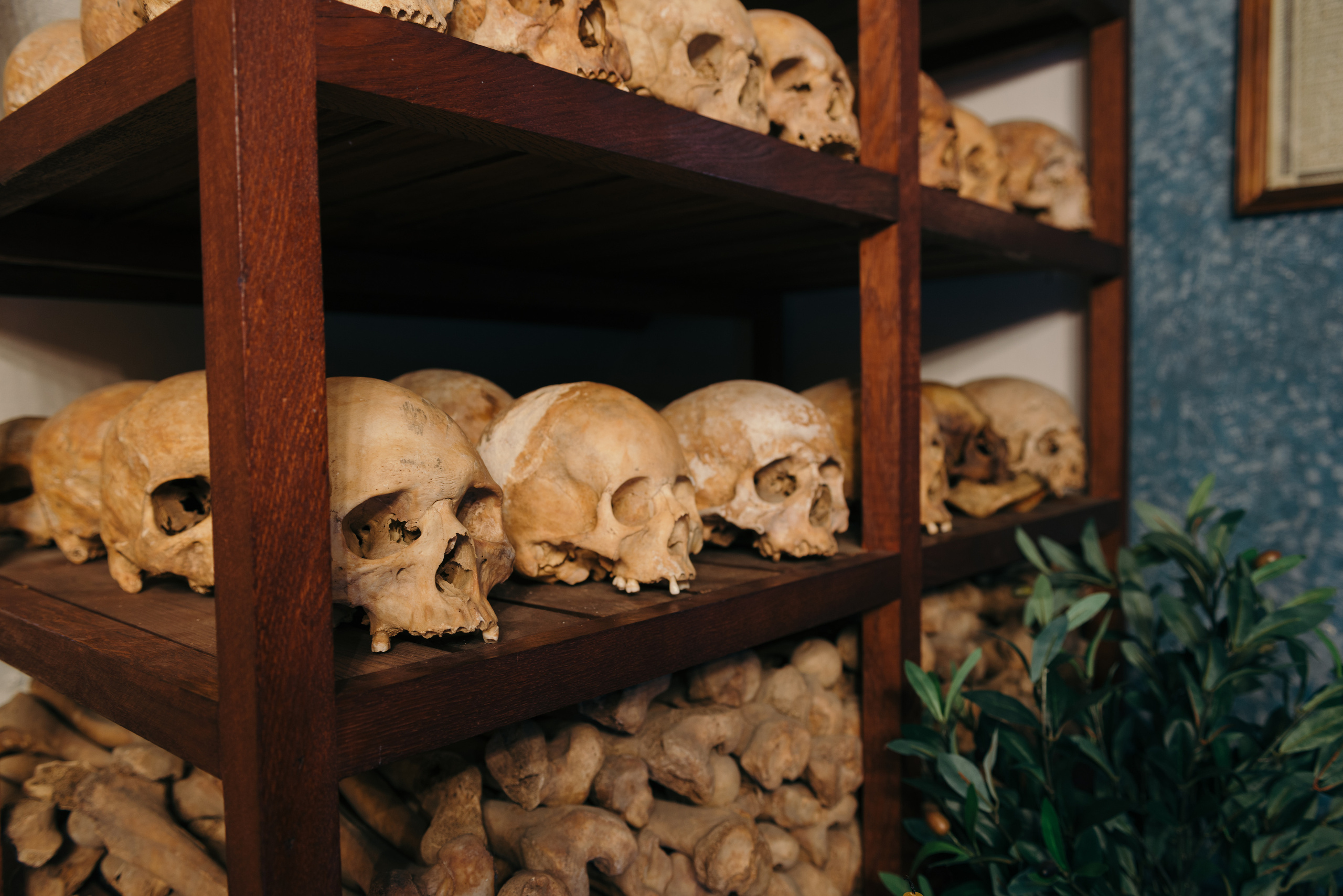 Интерьер | Экстерьер. Оператор-постановщик и фотограф Филипп Угланов