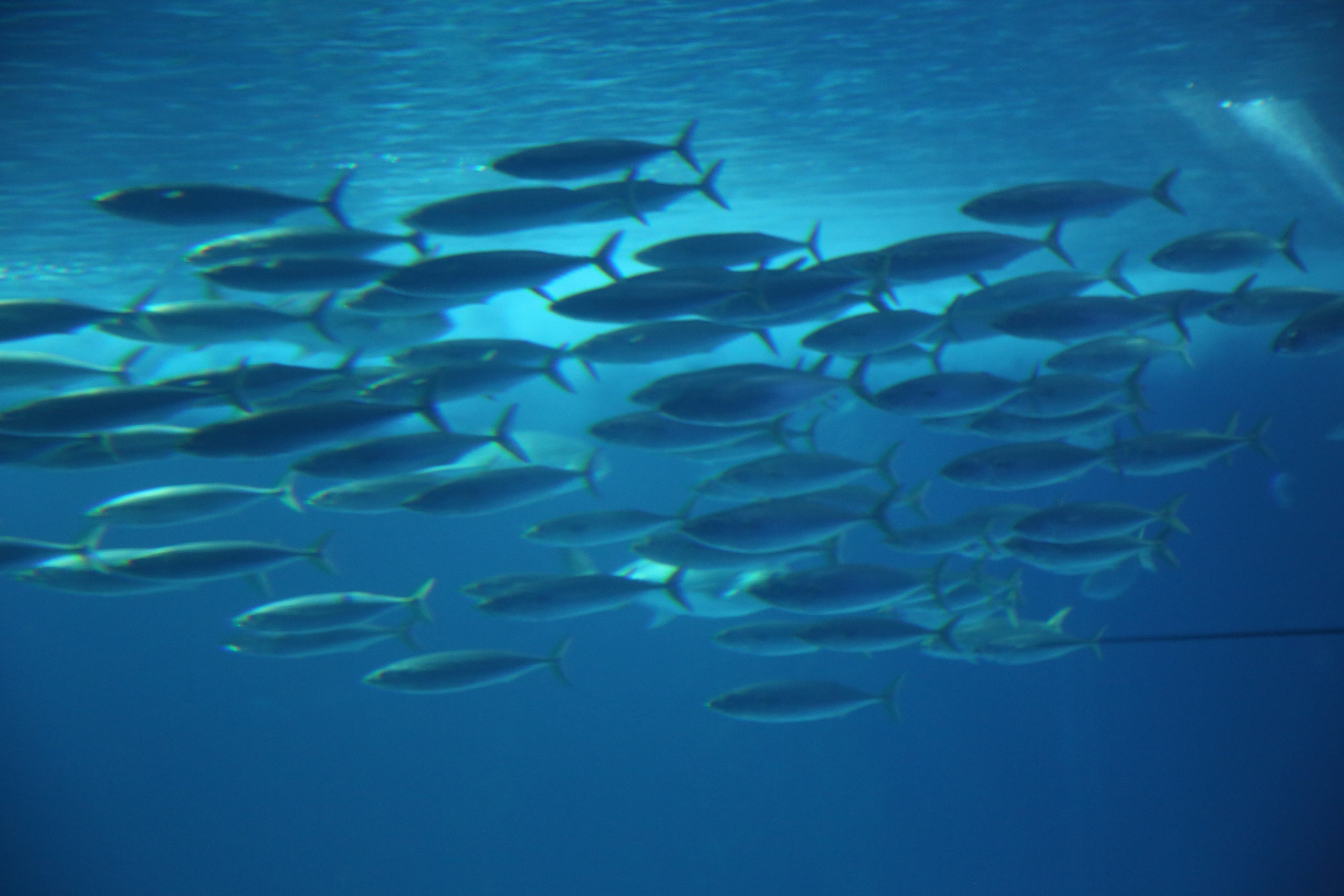 Lisbon, Portugal. Andrey Filippov Photographer