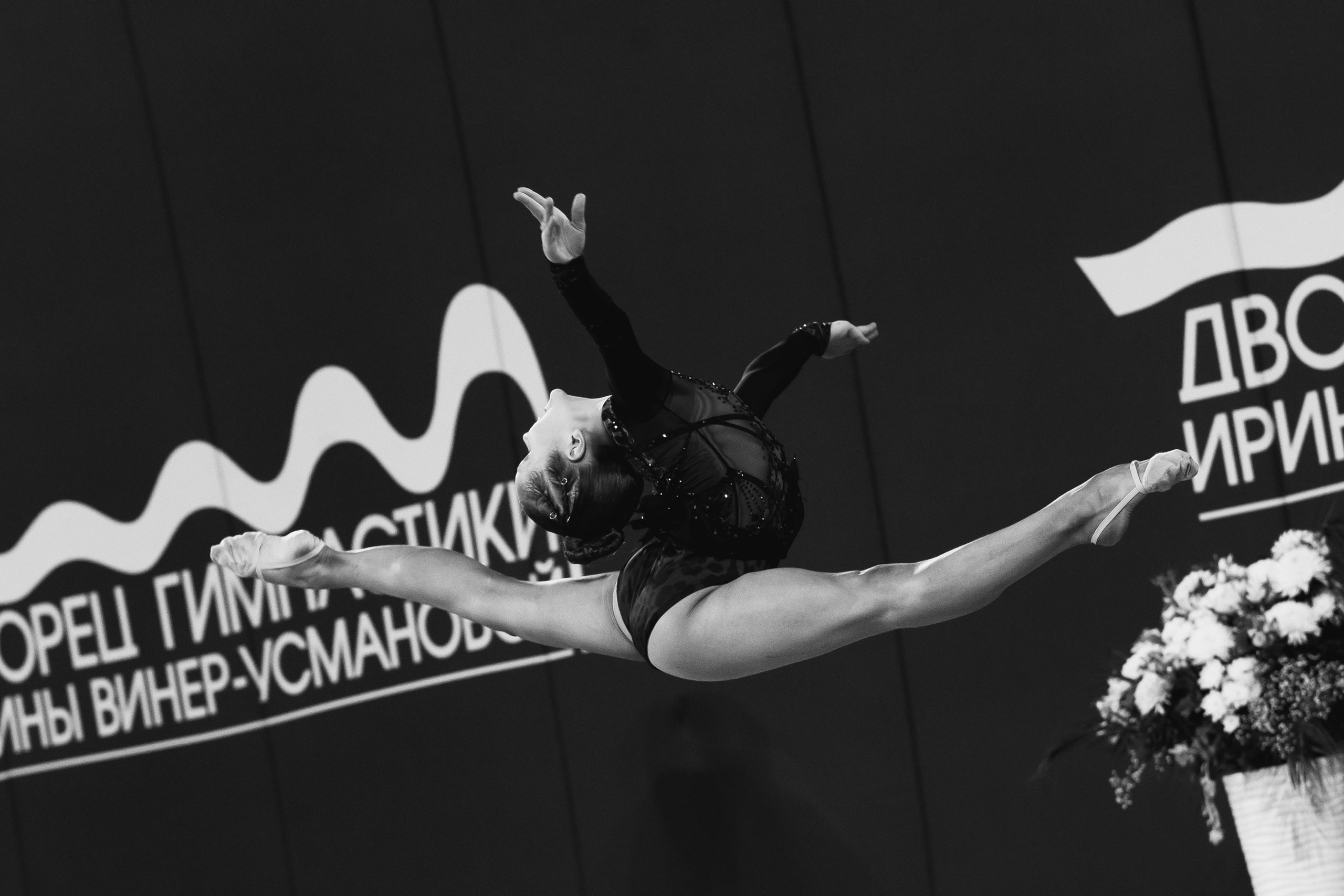 Кубок России по эстетической гимнастике 2025. Москва. Спортивный фотограф Александр Васильев. RG и AGG