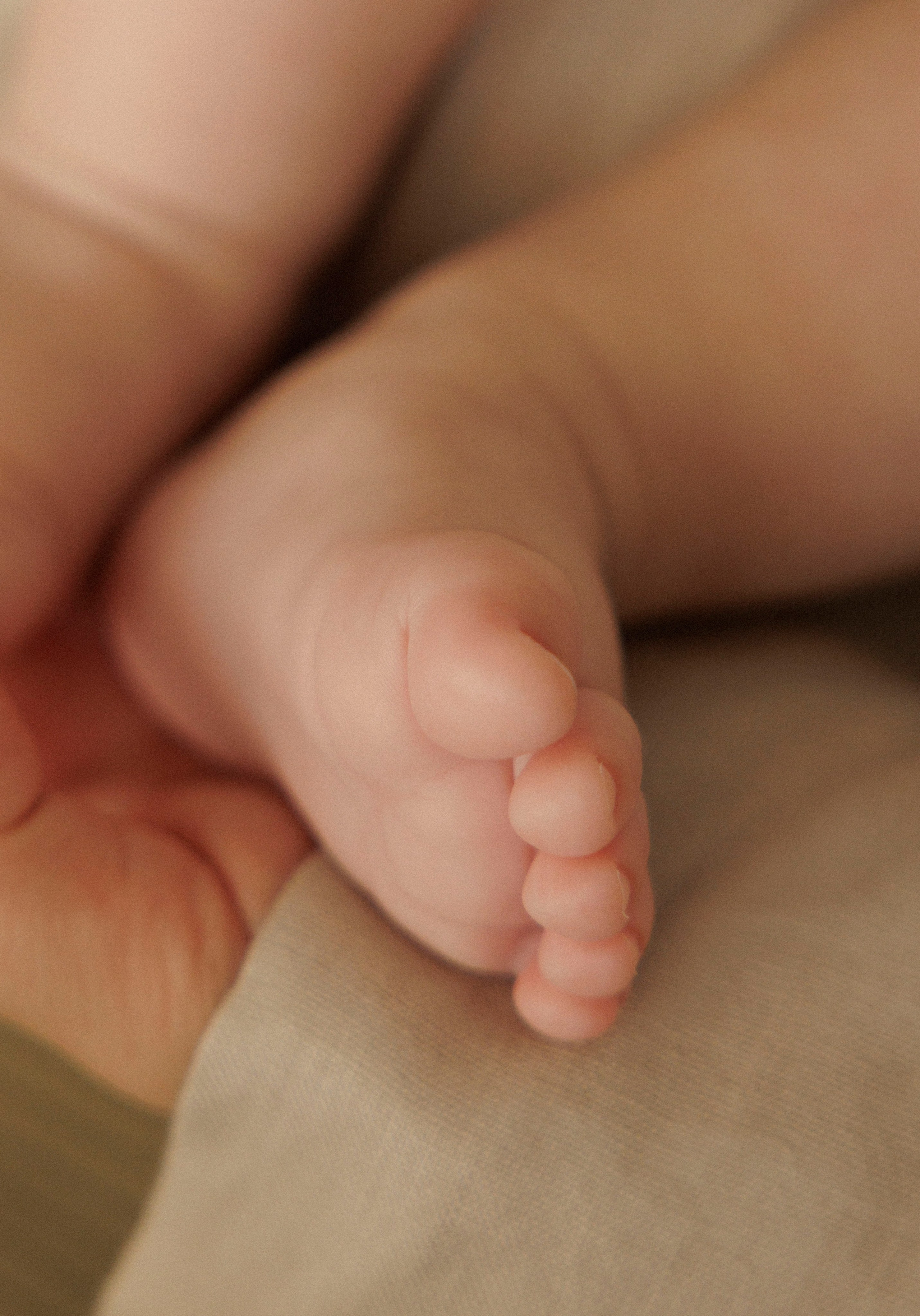 New born family photoshoot at home. Wedding and family photographer