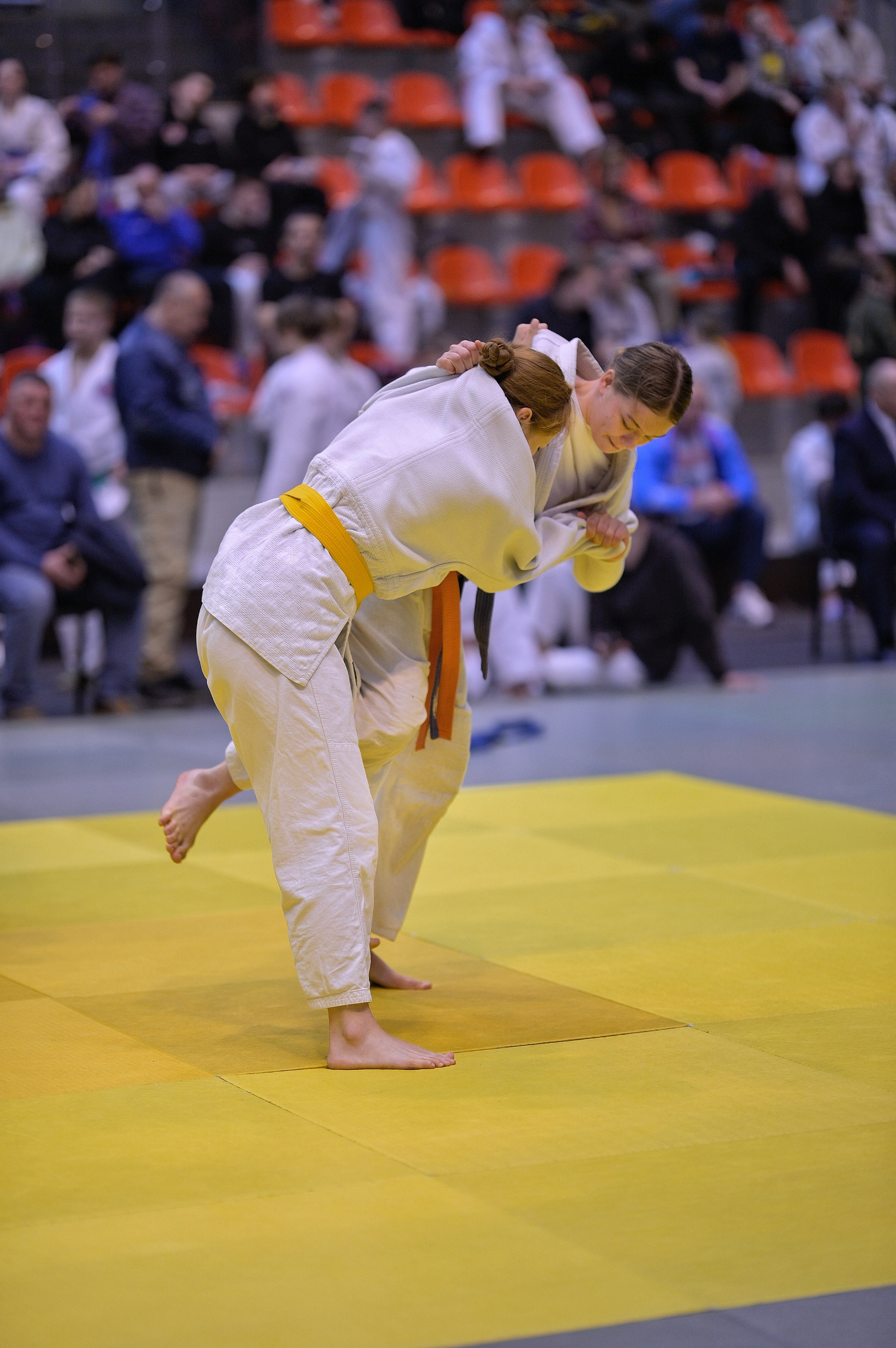 Турнир по дзюдо памяти Андрея Завьялкина. Фотограф Ваших событий 📸